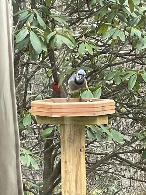 167 Simmons Ridge Road - Photo 34