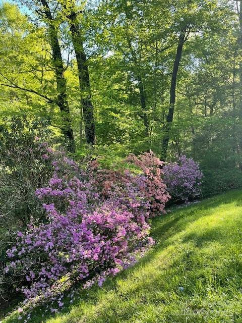 167 Simmons Ridge Road - Photo 37