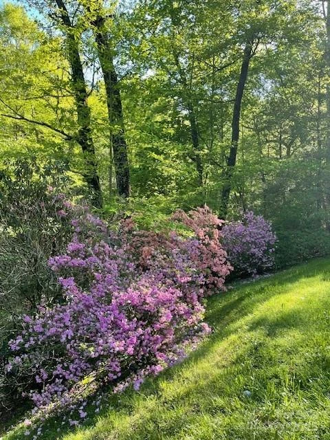 167 Simmons Ridge Road - Photo 37