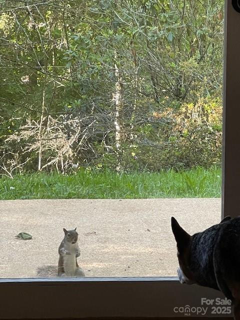 167 Simmons Ridge Road - Photo 39