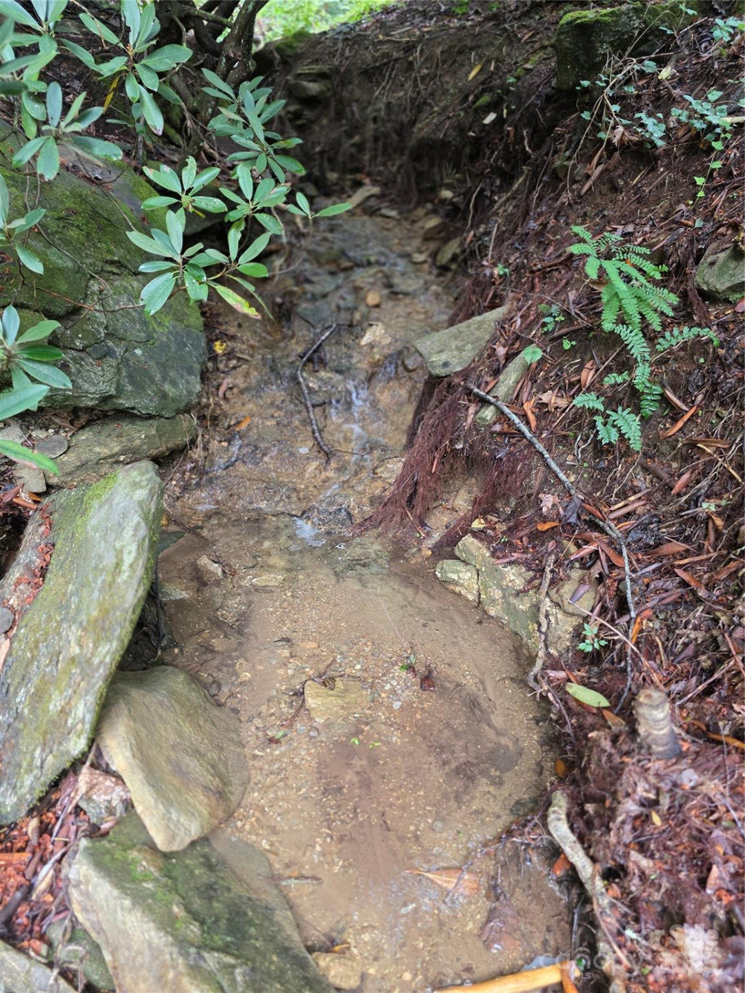 1145 Bearwallow Mountain Road - Photo 40