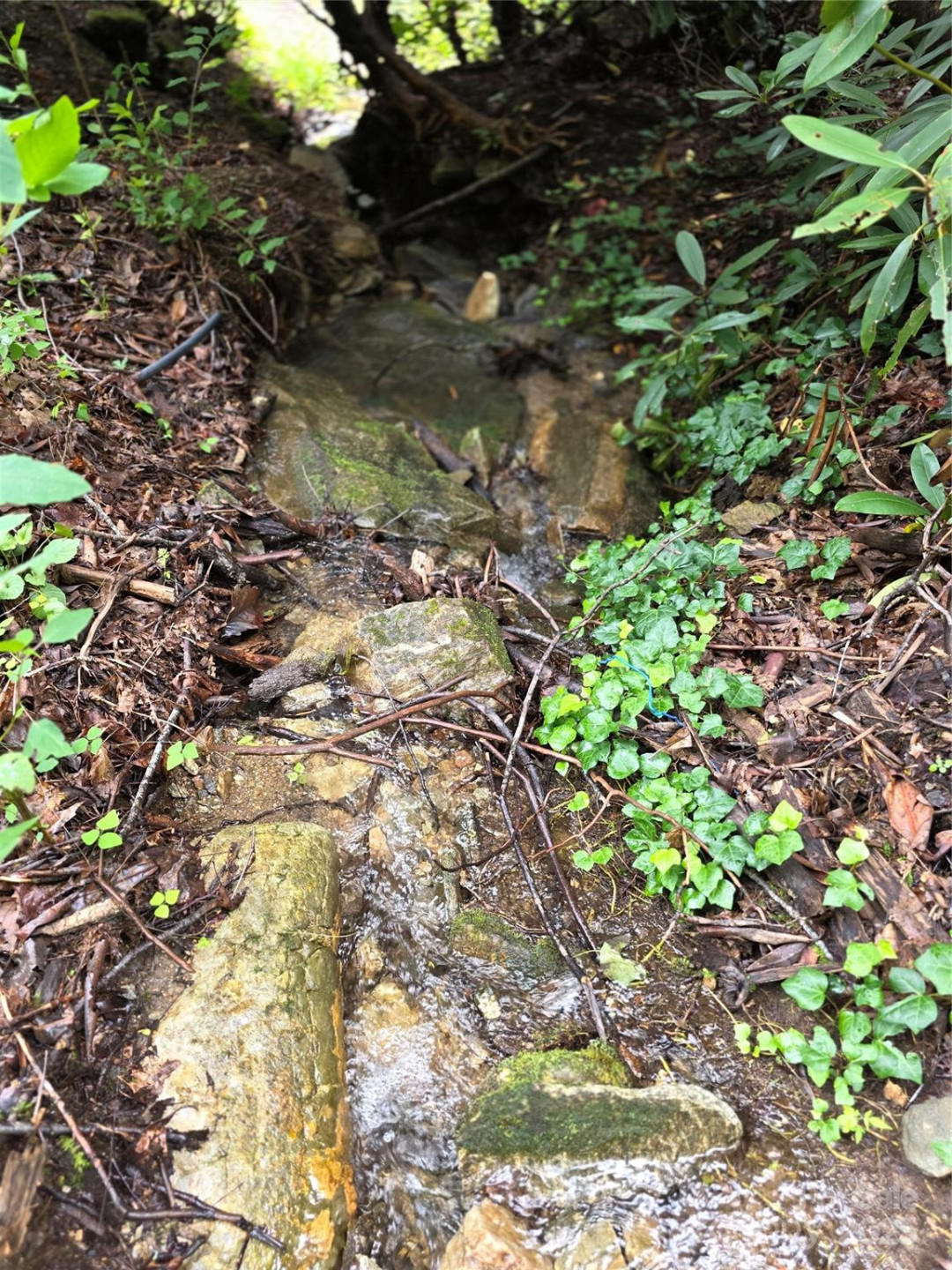 1145 Bearwallow Mountain Road - Photo 41