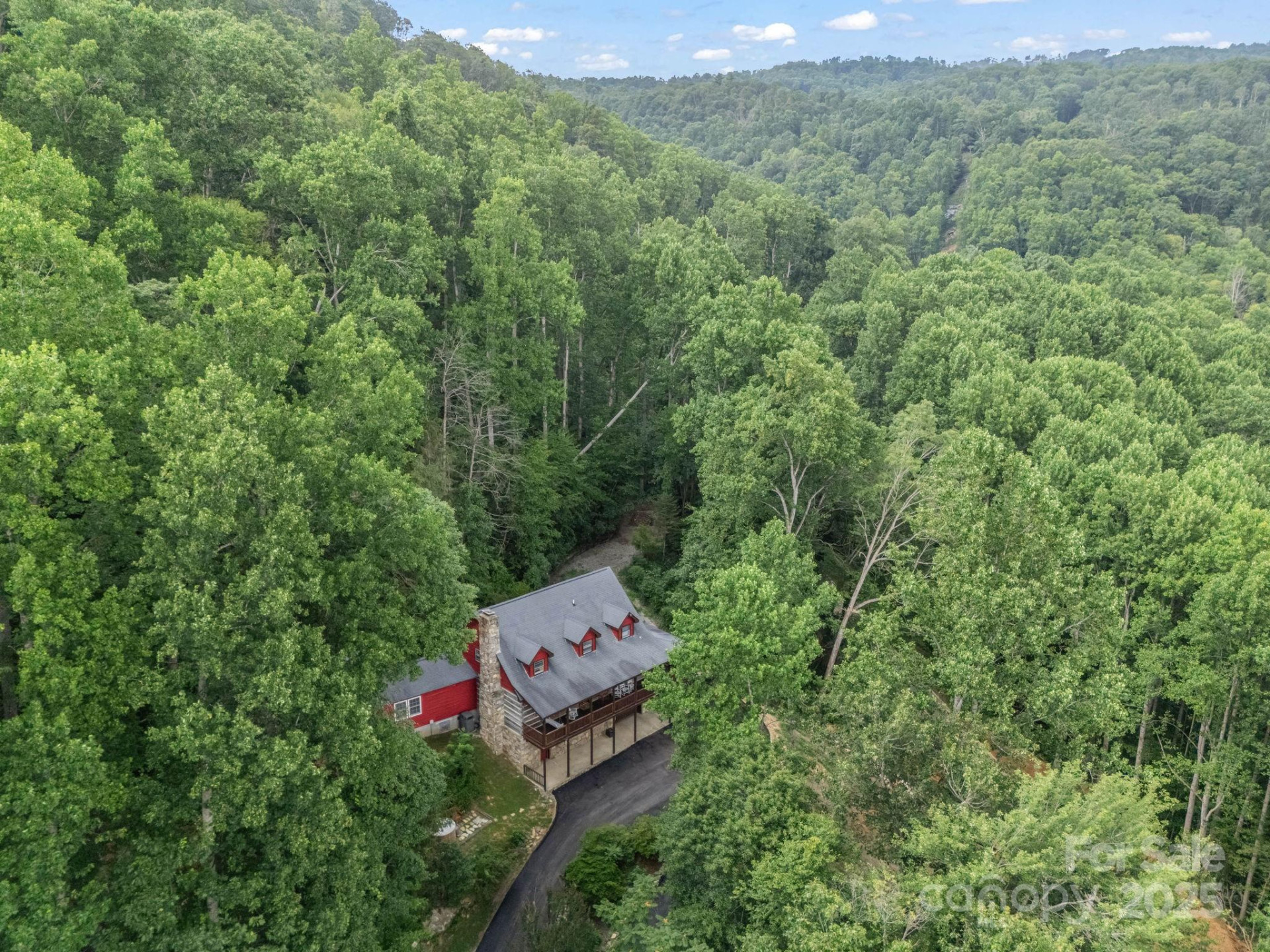 1145 Bearwallow Mountain Road - Photo 42