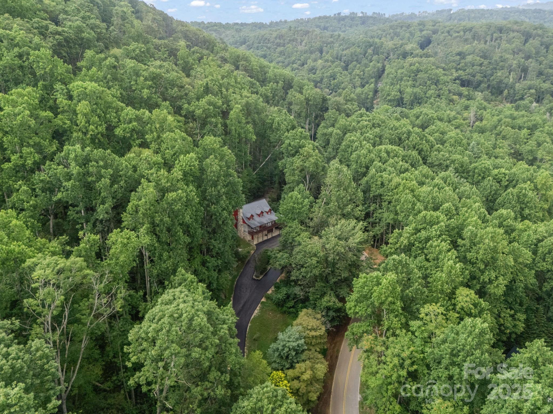 1145 Bearwallow Mountain Road - Photo 43