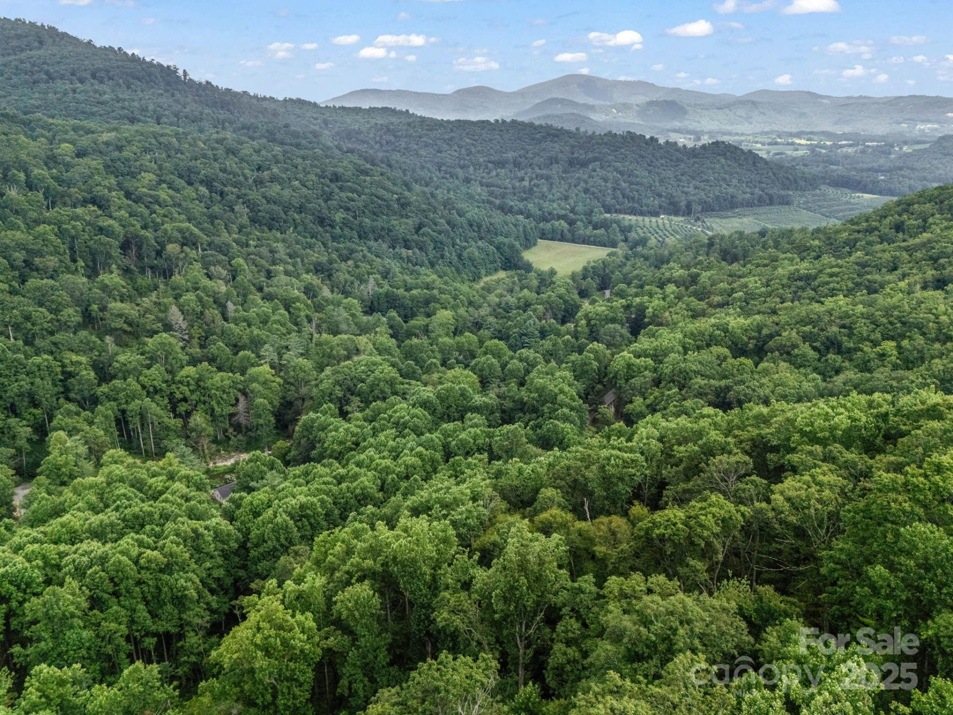 1145 Bearwallow Mountain Road - Photo 44