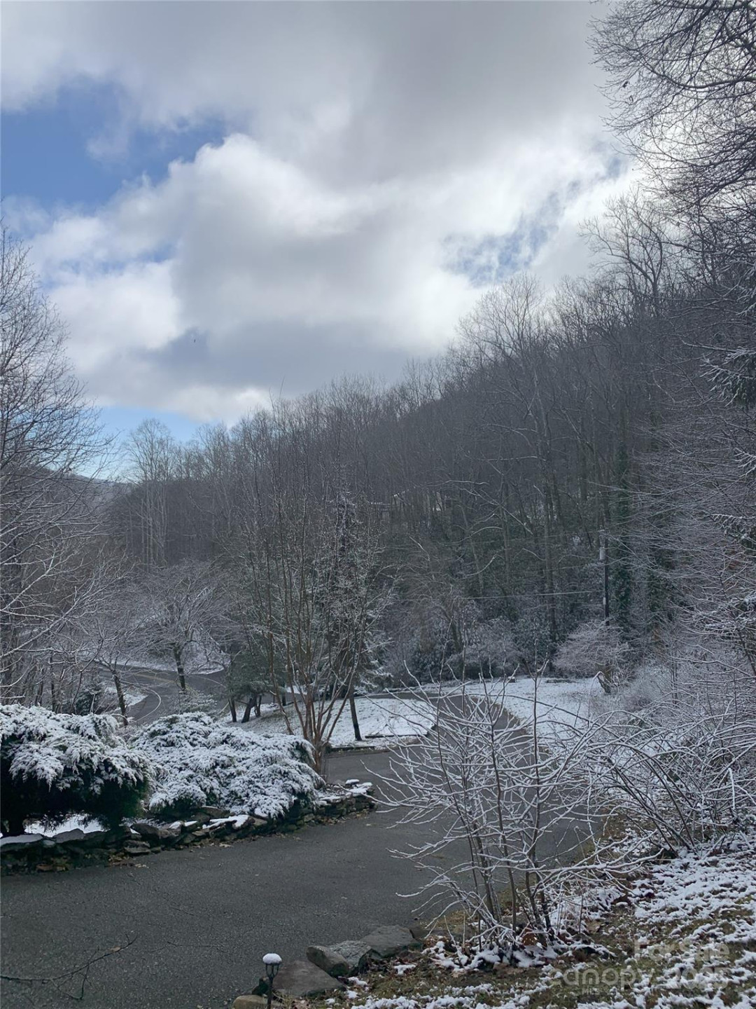 1145 Bearwallow Mountain Road - Photo 45