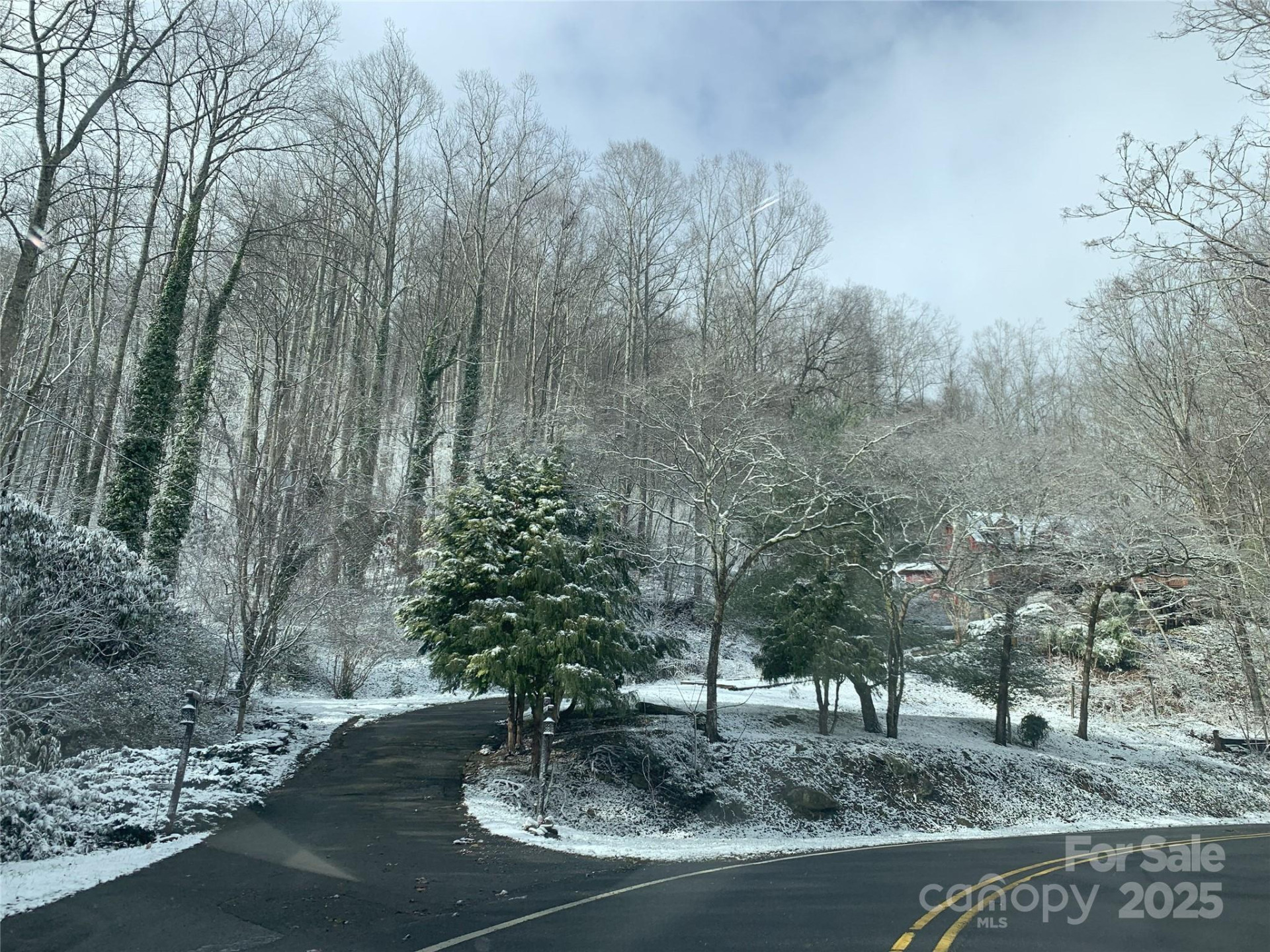 1145 Bearwallow Mountain Road - Photo 46