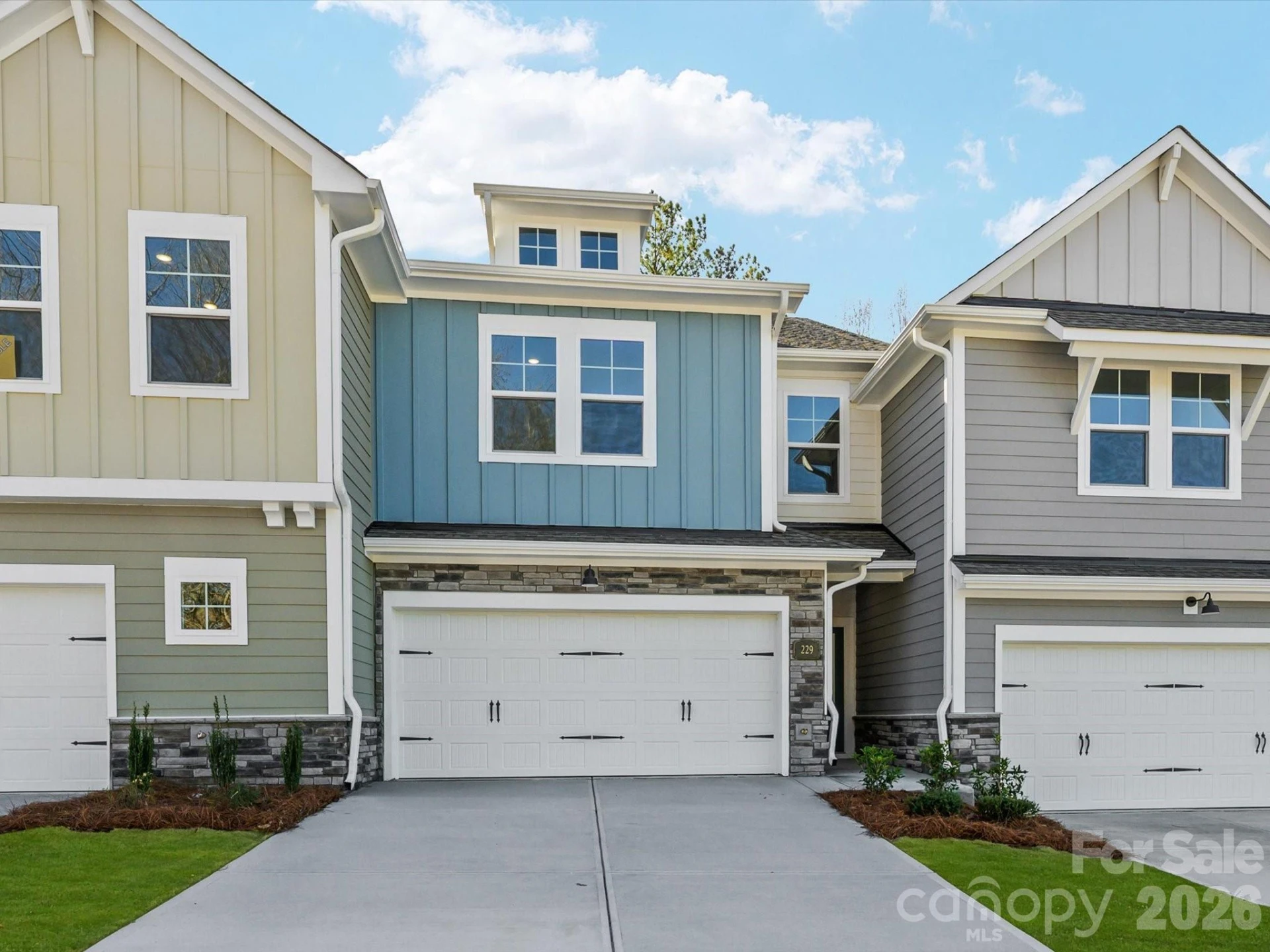 229 Alluvium Lane - Photo 2