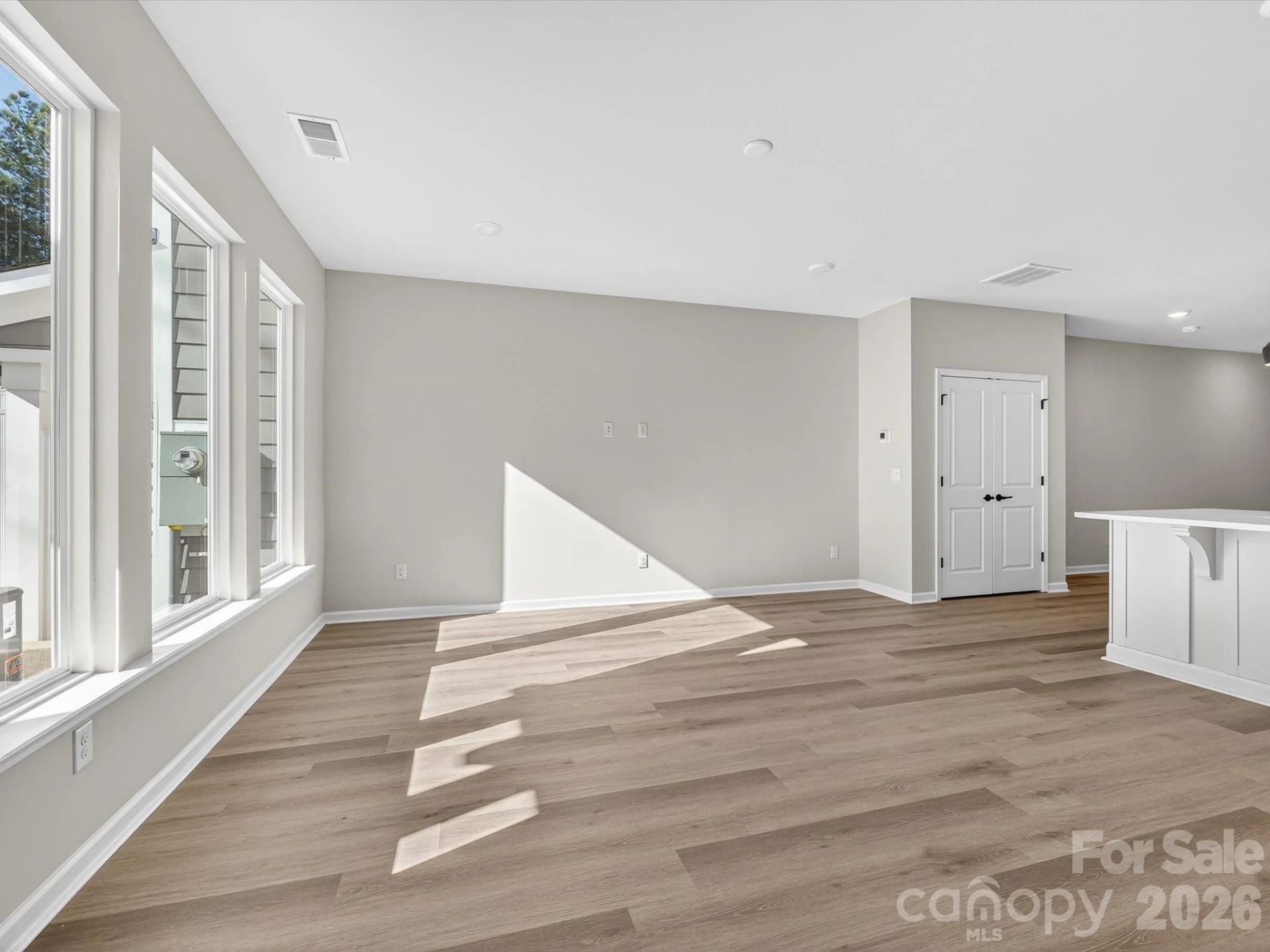 229 Alluvium Lane - Photo 13