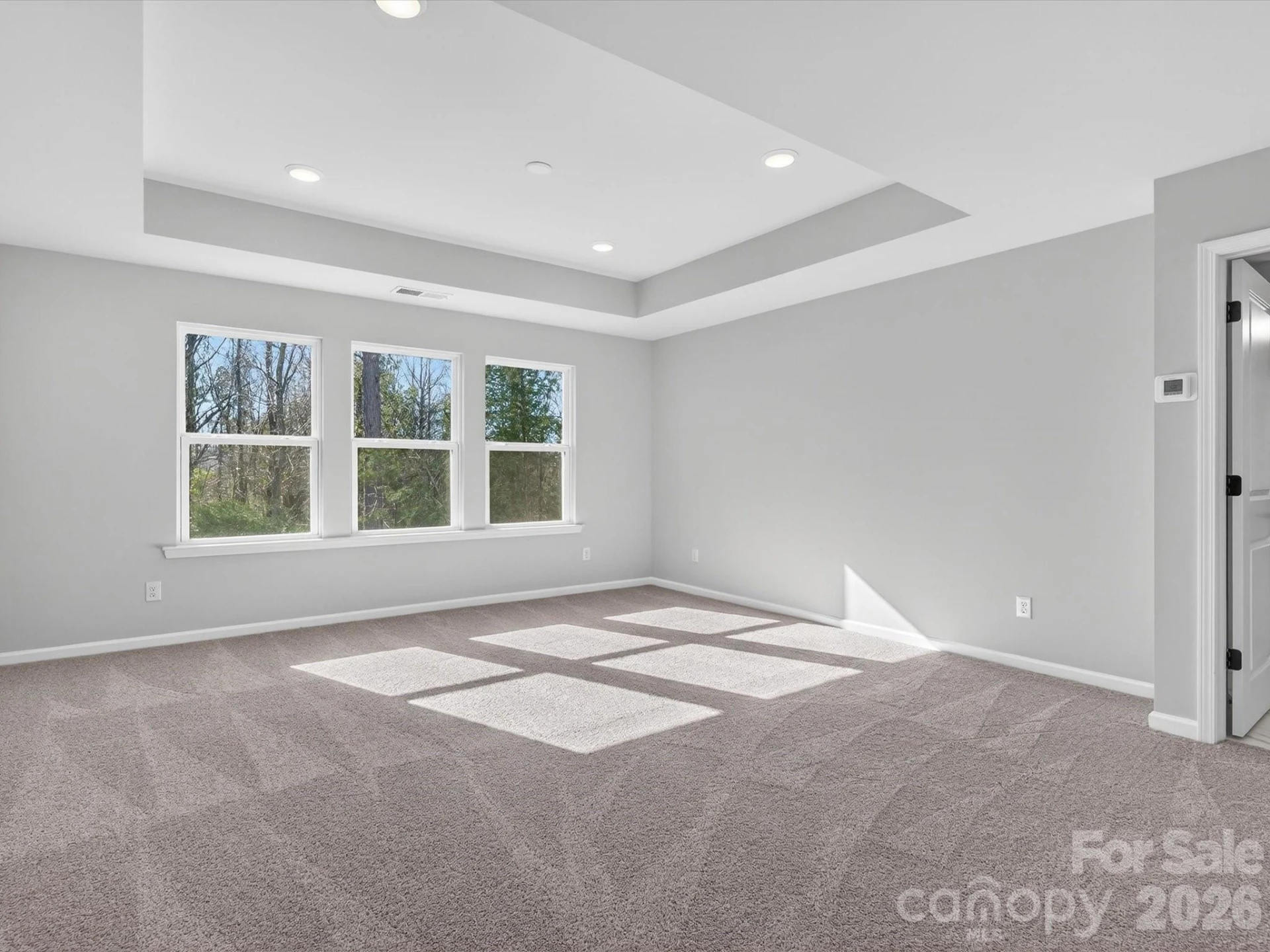 229 Alluvium Lane - Photo 16