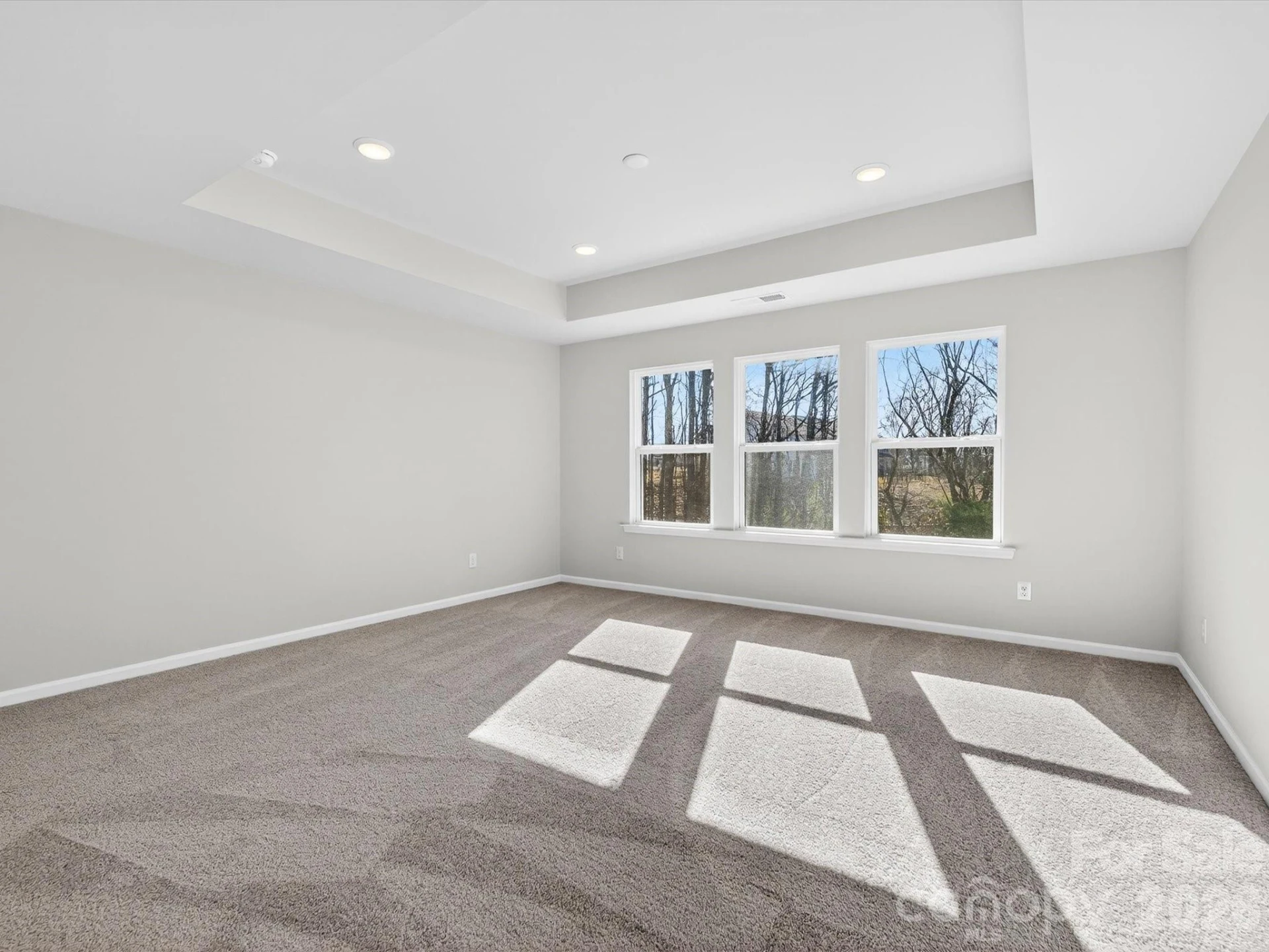 229 Alluvium Lane - Photo 17