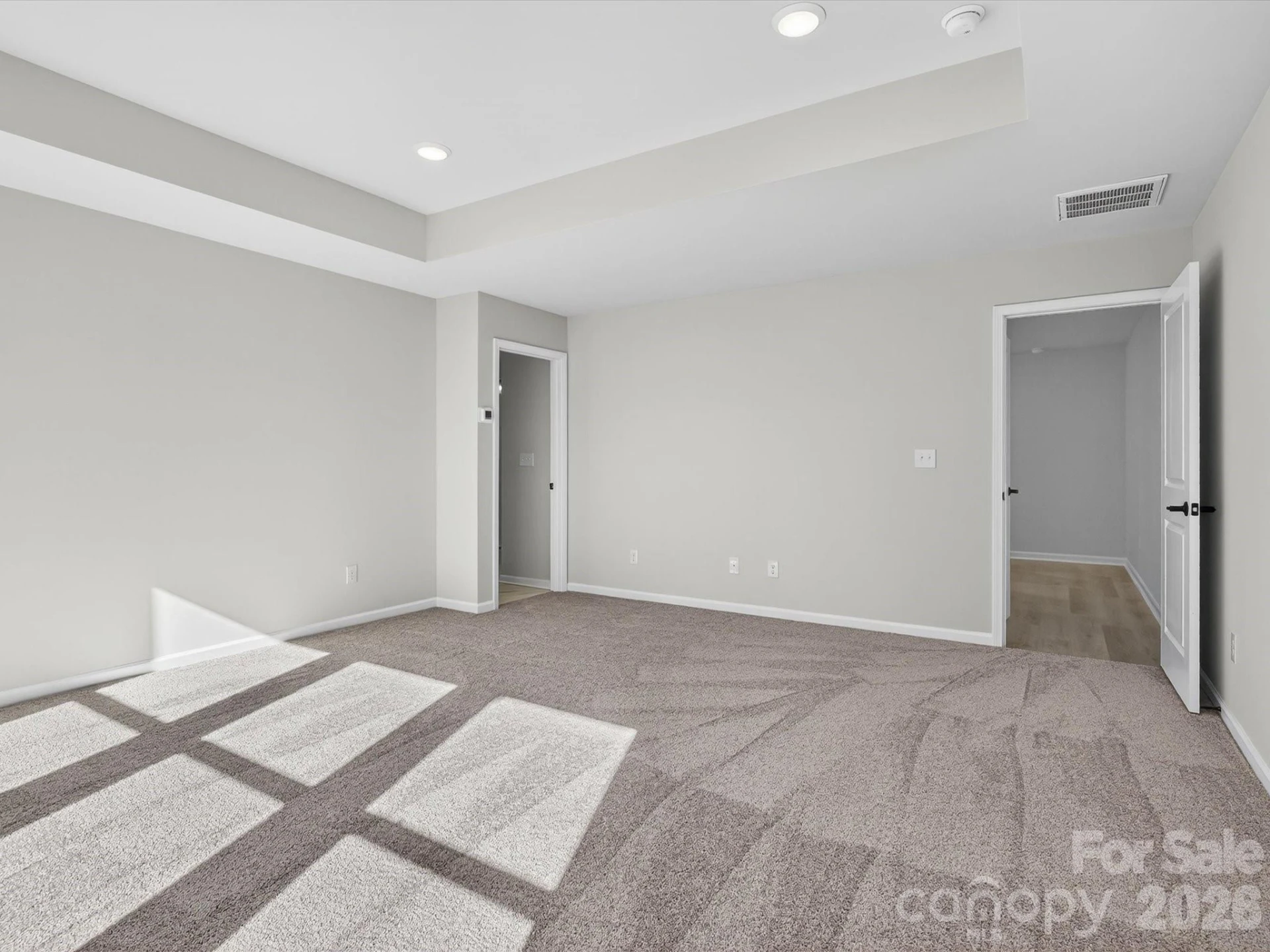 229 Alluvium Lane - Photo 18