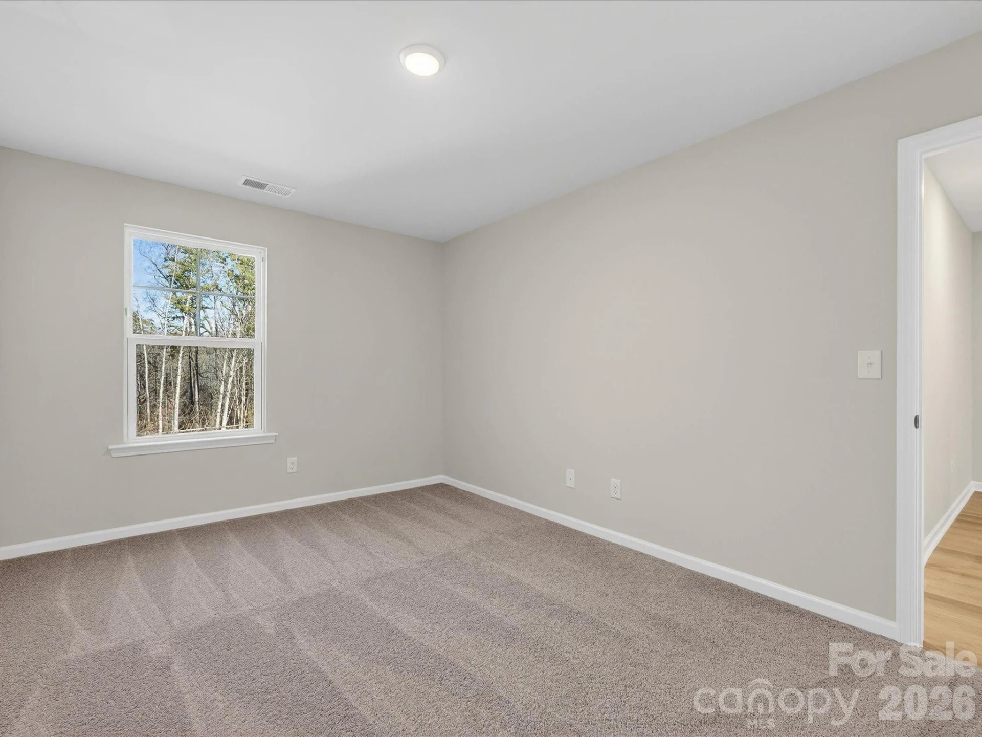 229 Alluvium Lane - Photo 21