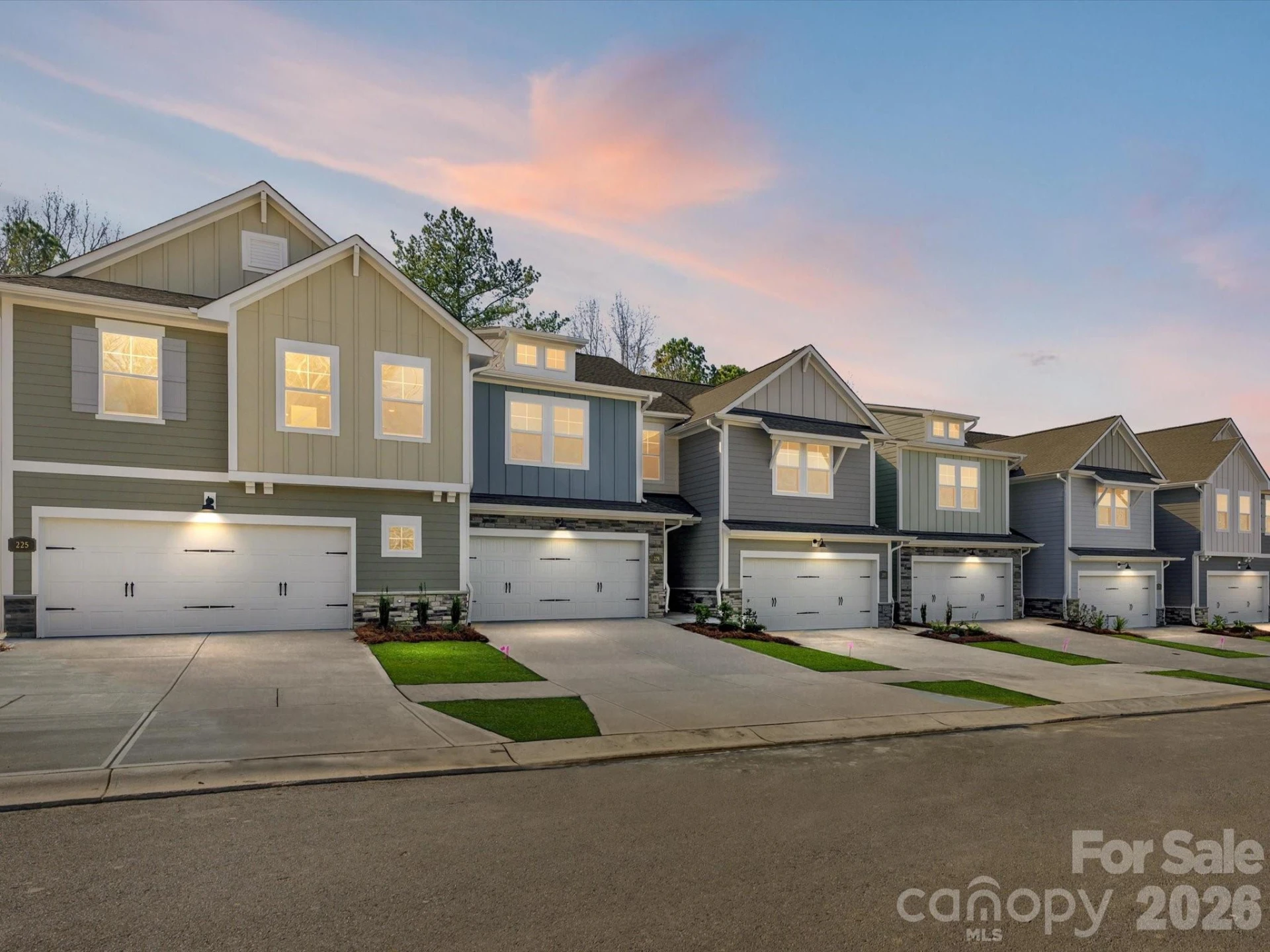 229 Alluvium Lane - Photo 4