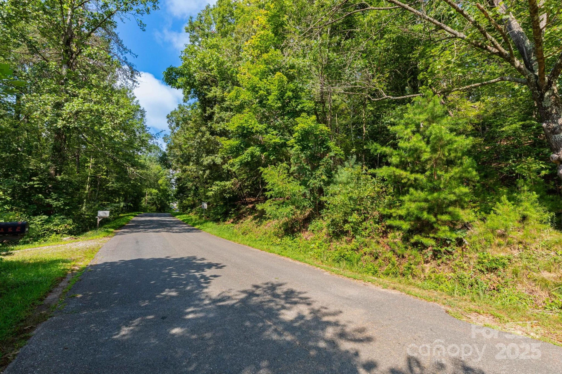 99999 Flynn Branch Road #1, 2 & 3 - Photo 2