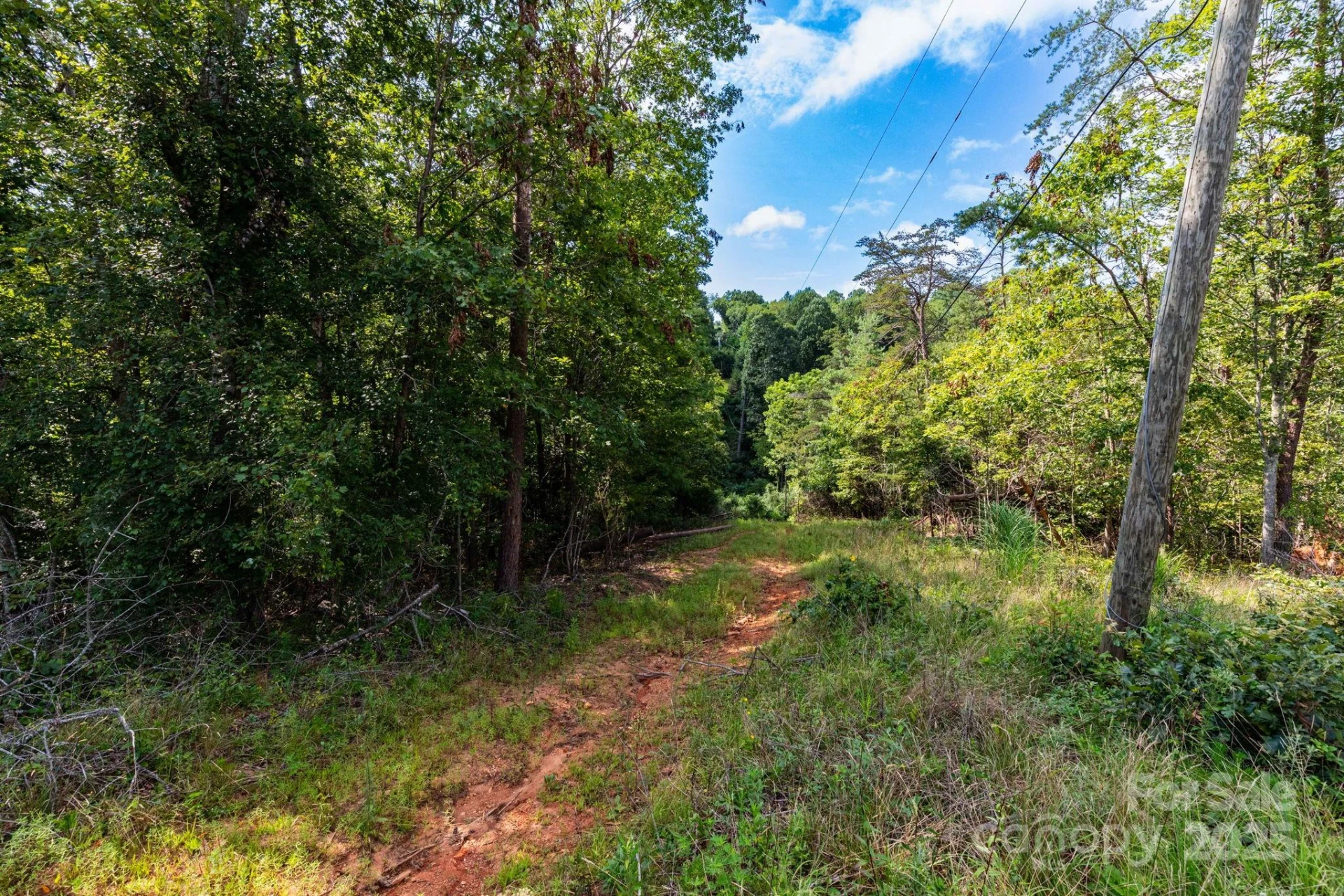 99999 Flynn Branch Road #1 - Photo 8