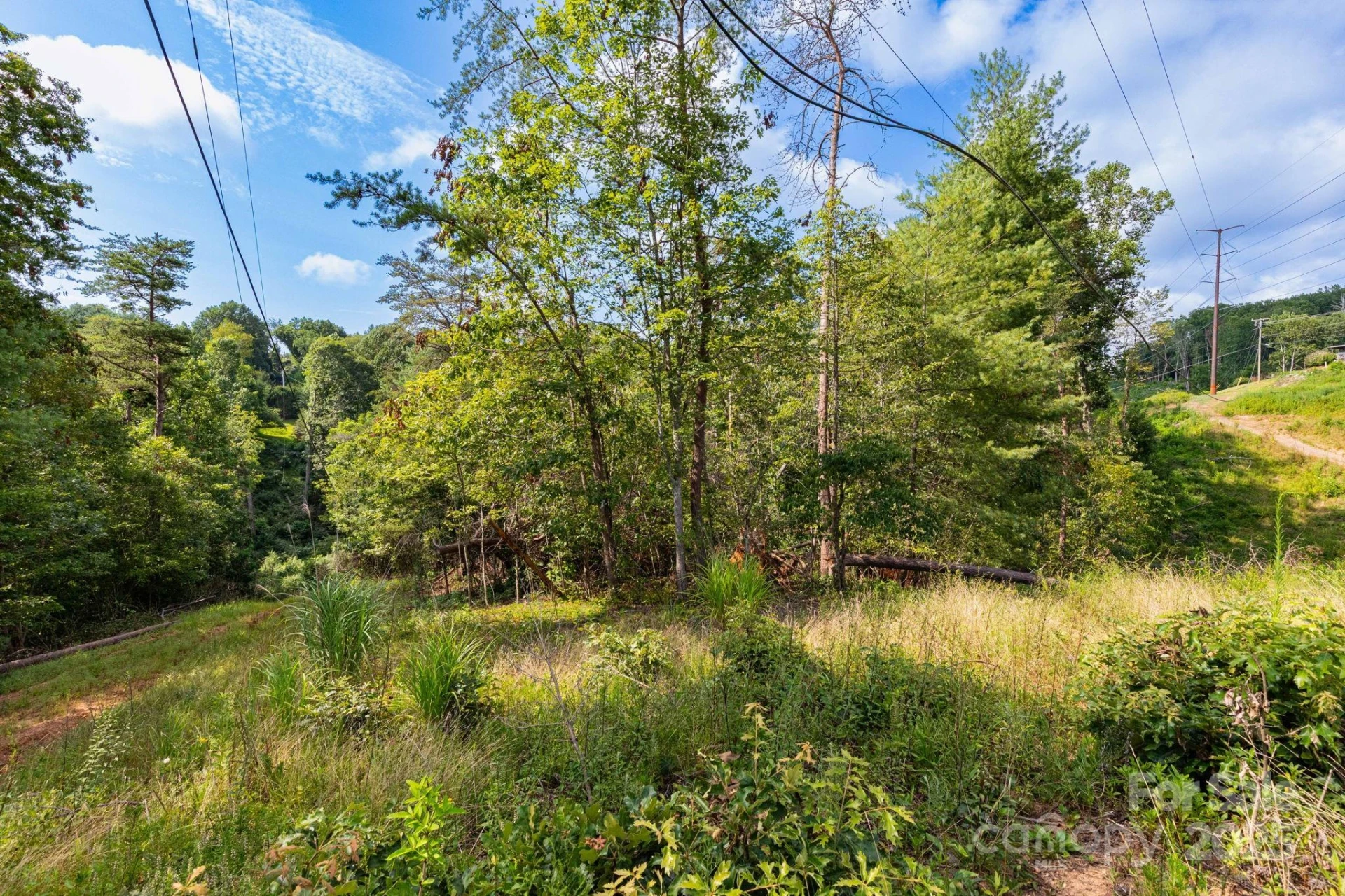 99999 Flynn Branch Road #1 - Photo 9