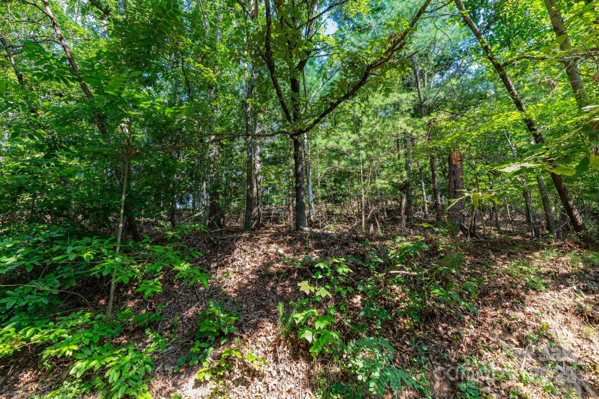 99999 Flynn Branch Road #2 - Photo 4