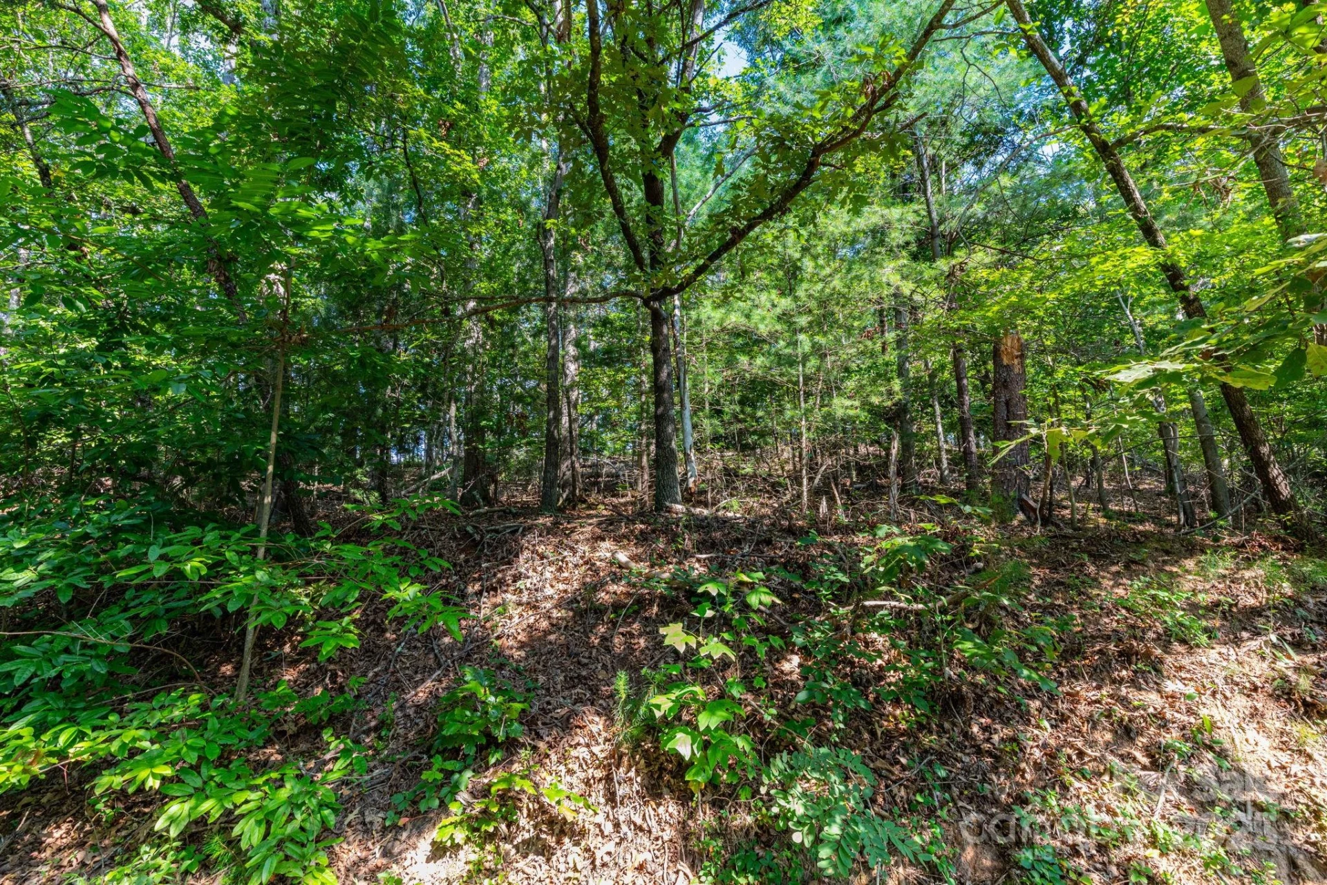 99999 Flynn Branch Road #2 - Photo 4
