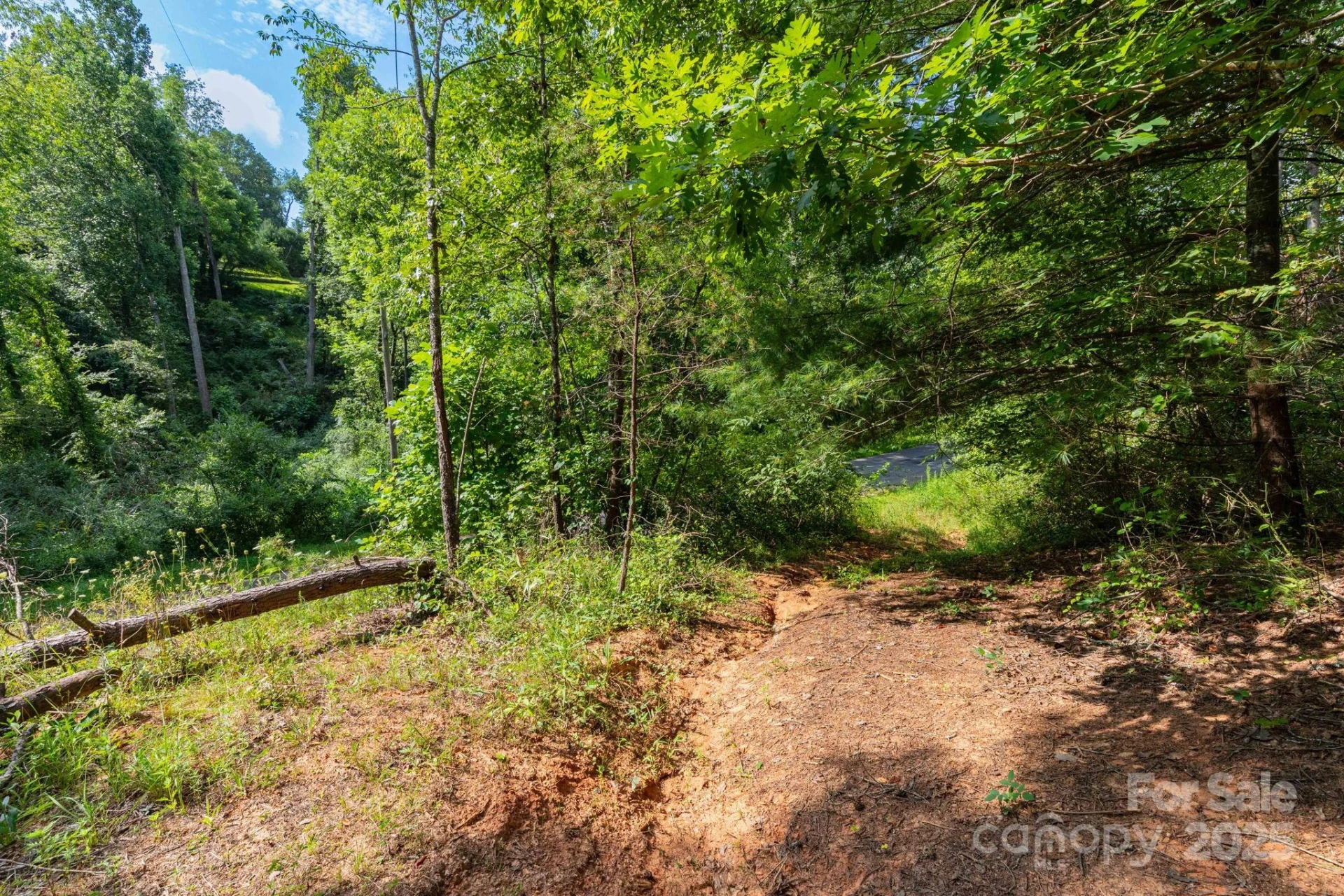 99999 Flynn Branch Road #3 - Photo 11