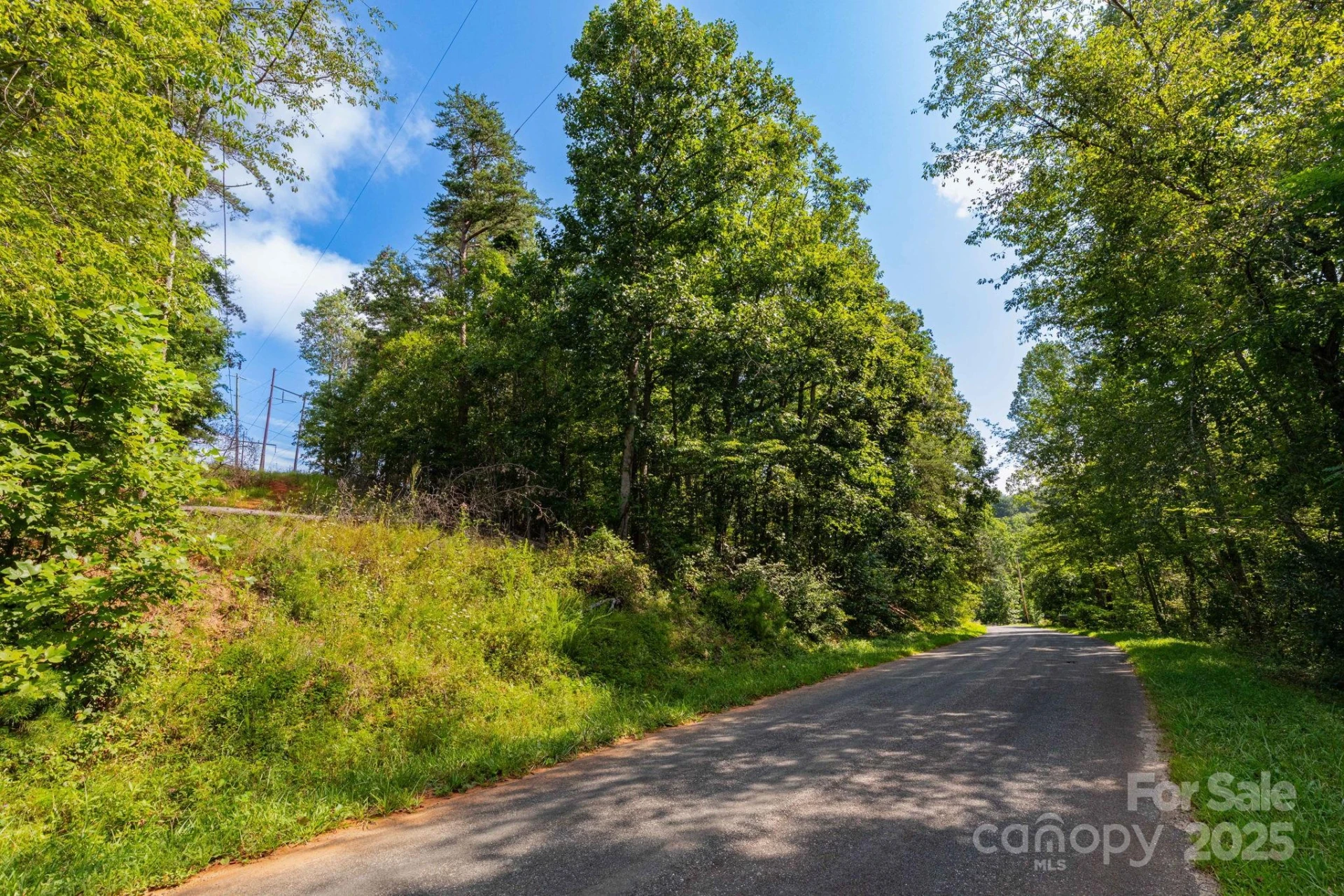99999 Flynn Branch Road #3 - Photo 5