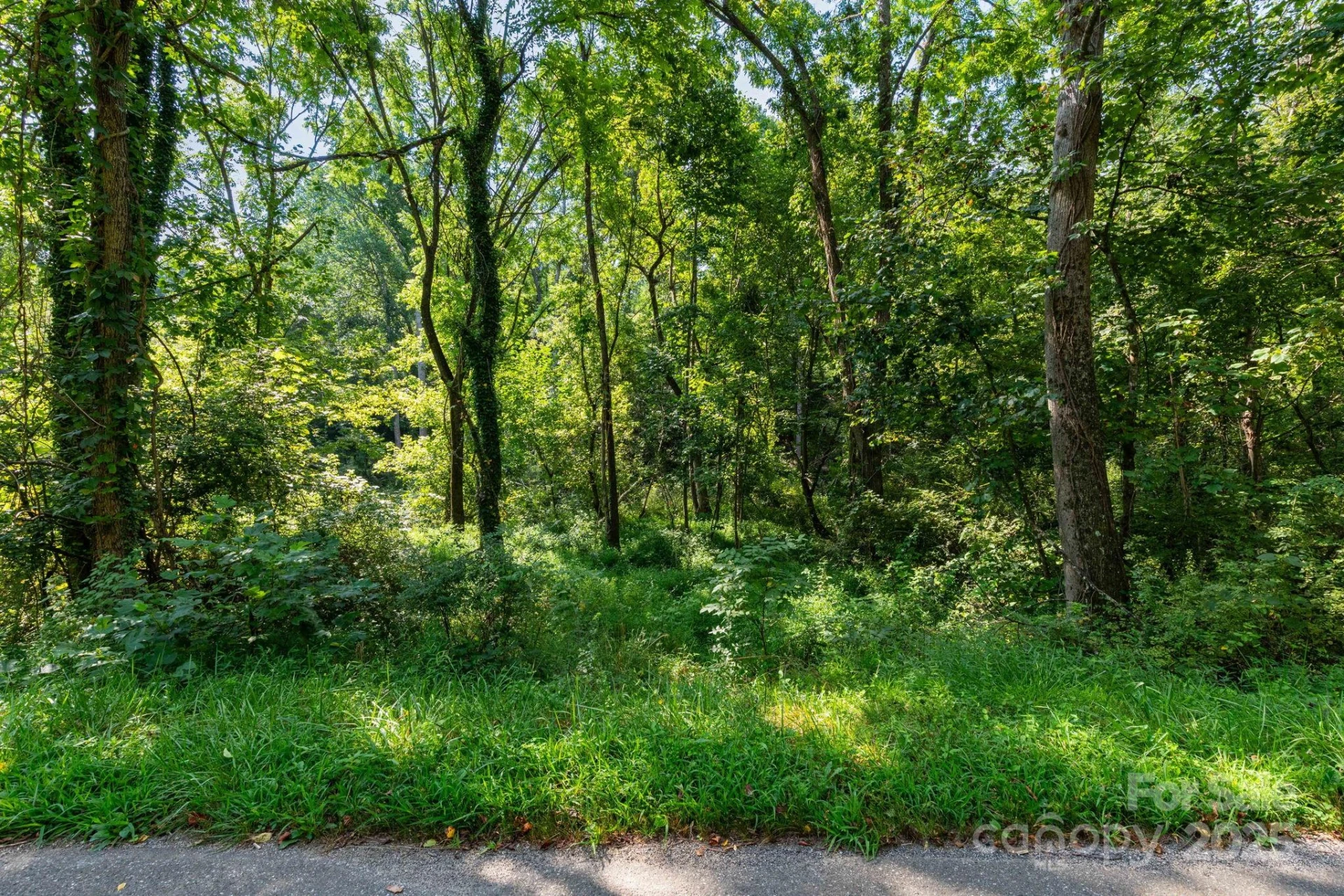 99999 Flynn Branch Road #3 - Photo 6