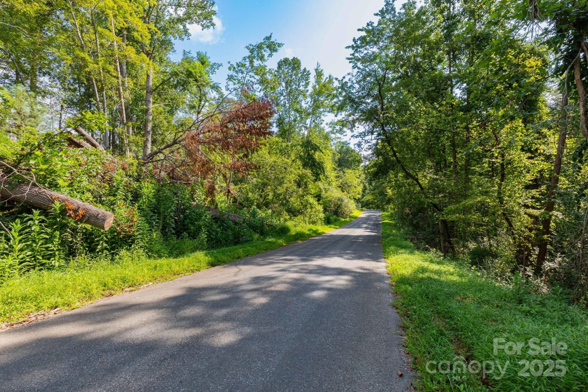99999 Flynn Branch Road #3 - Photo 7