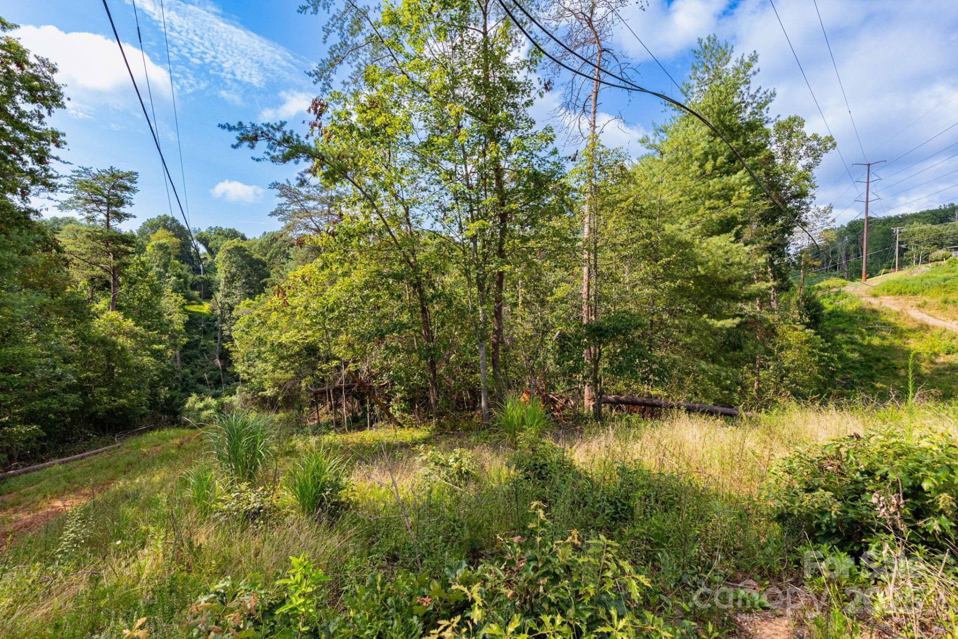 99999 Flynn Branch Road #3 - Photo 9