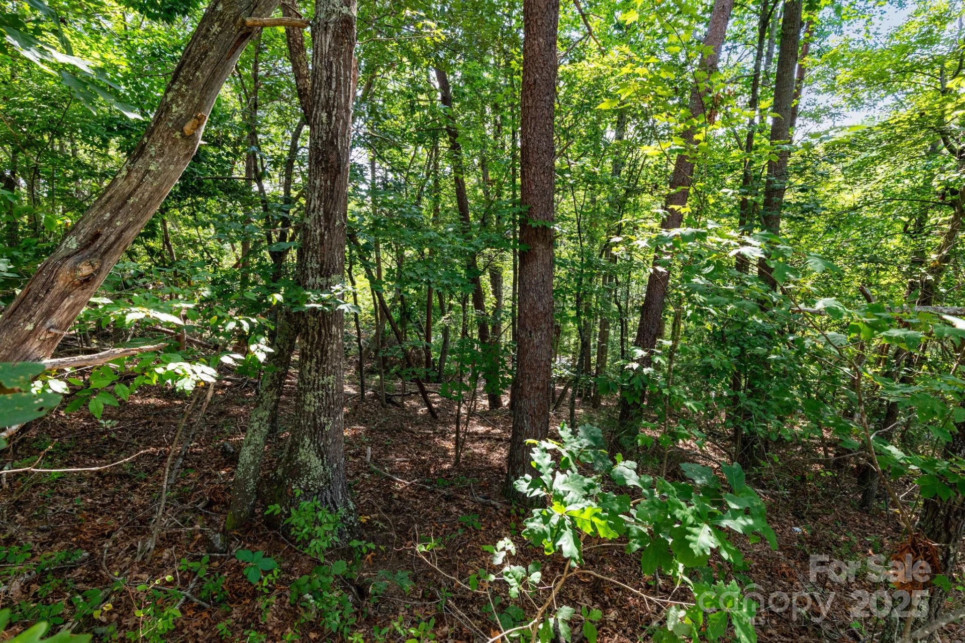99999 Flynn Branch Road #3 - Photo 10
