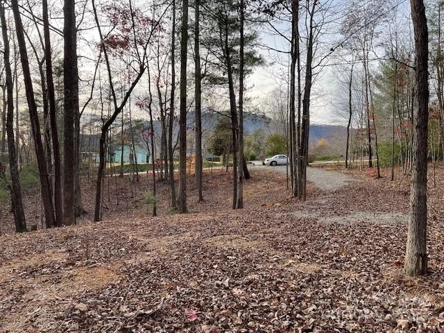 Lot 16 Fox Briar Drive - Photo 2