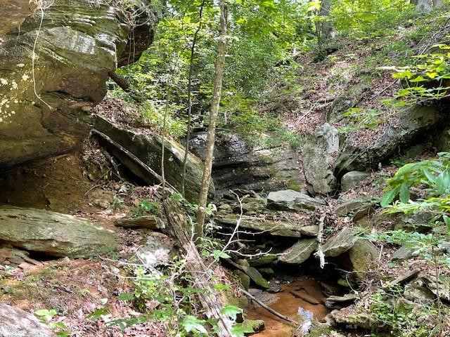 Lot 16 Fox Briar Drive - Photo 3