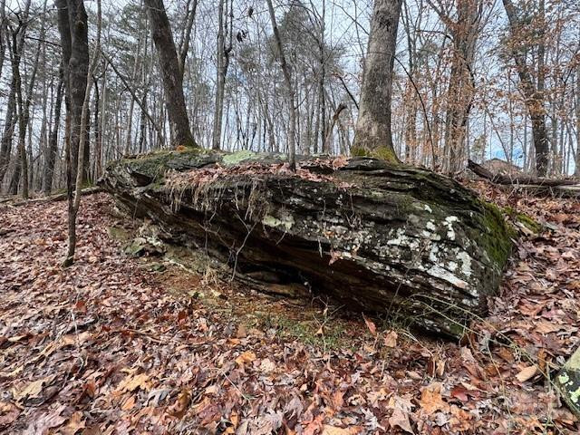 Lot 16 Fox Briar Drive - Photo 4