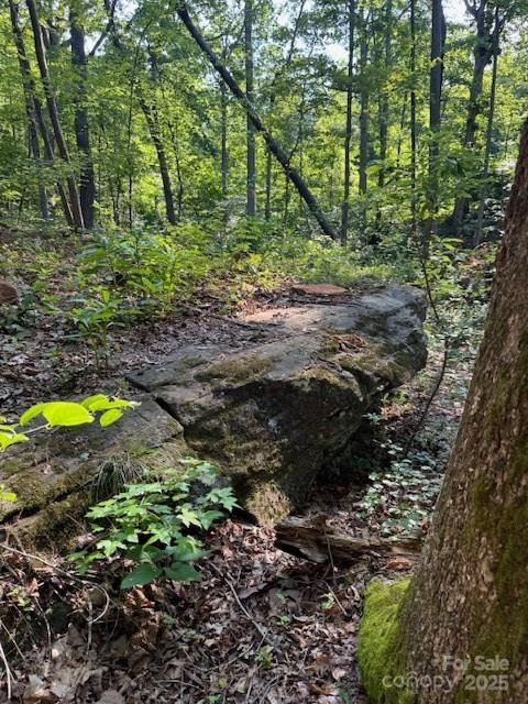 Lot 16 Fox Briar Drive - Photo 5