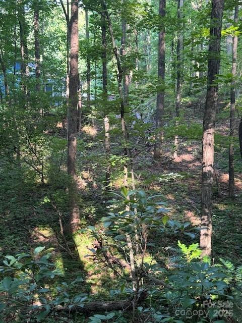 Lot 16 Fox Briar Drive - Photo 6