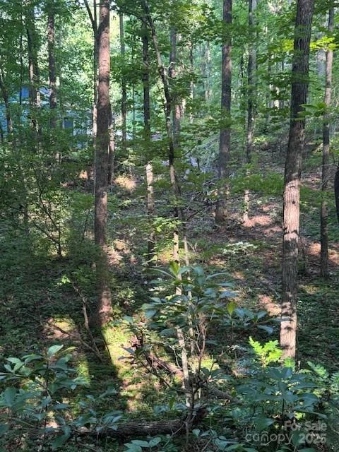 Lot 16 Fox Briar Drive - Photo 6