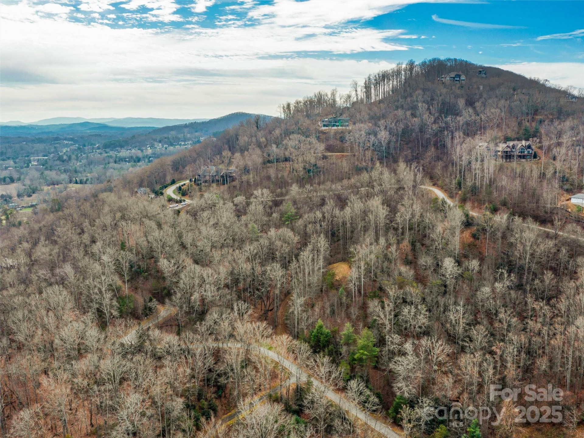 25 Autumn Shade Court #75 - Photo 13