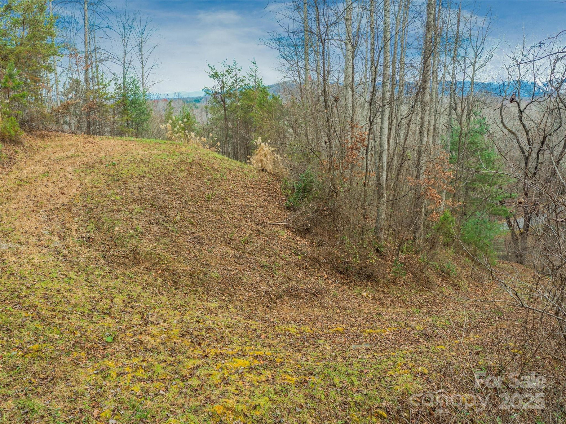 25 Autumn Shade Court #75 - Photo 14