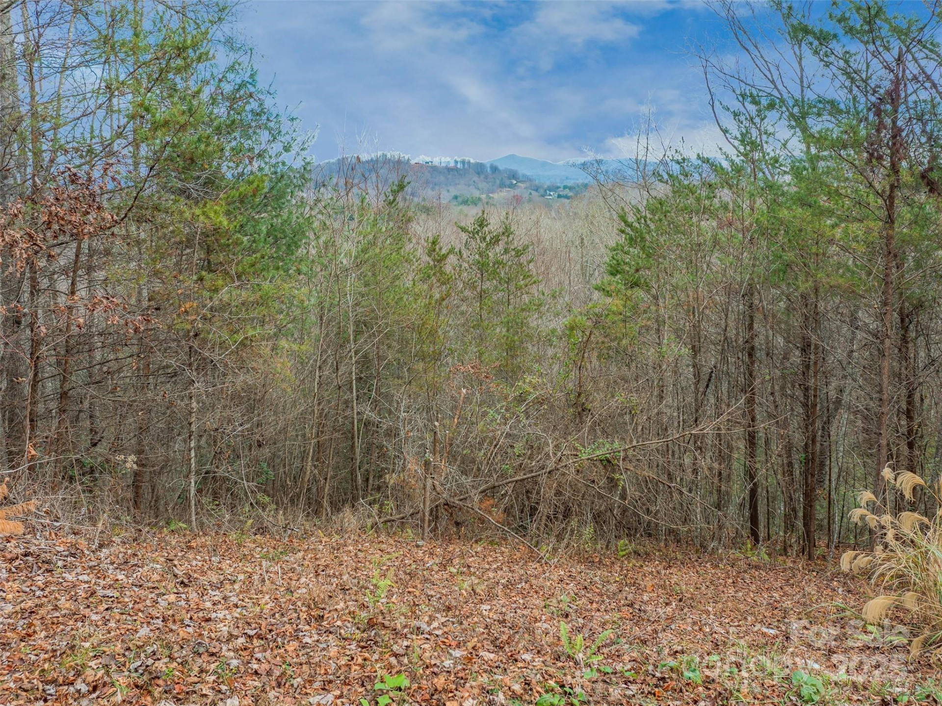 25 Autumn Shade Court #75 - Photo 17