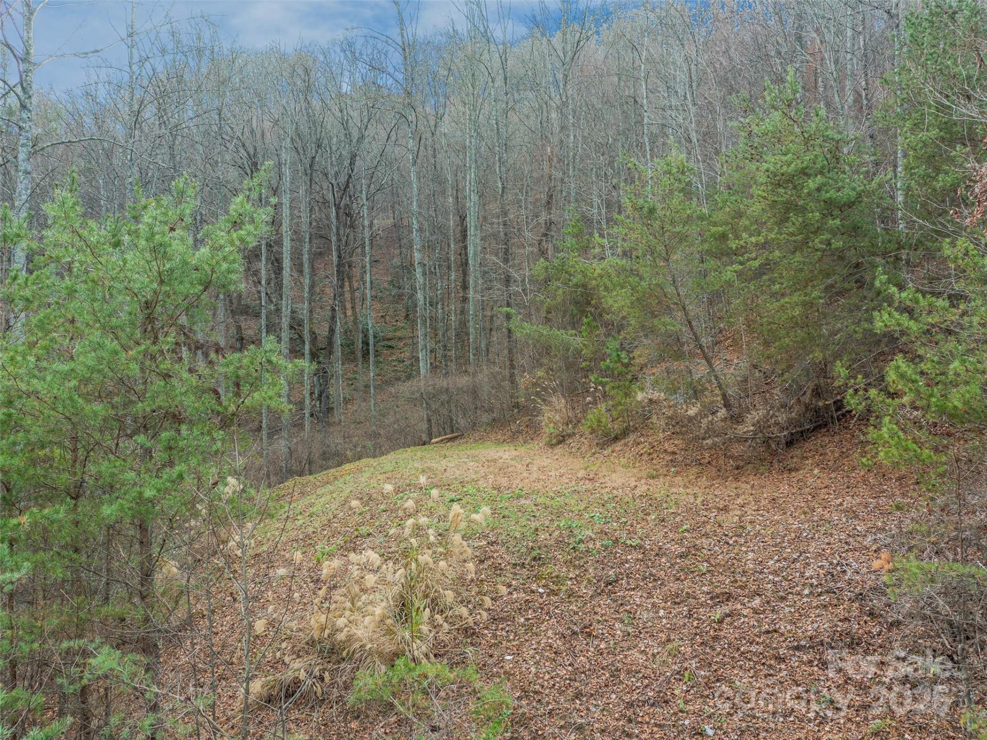 25 Autumn Shade Court #75 - Photo 18