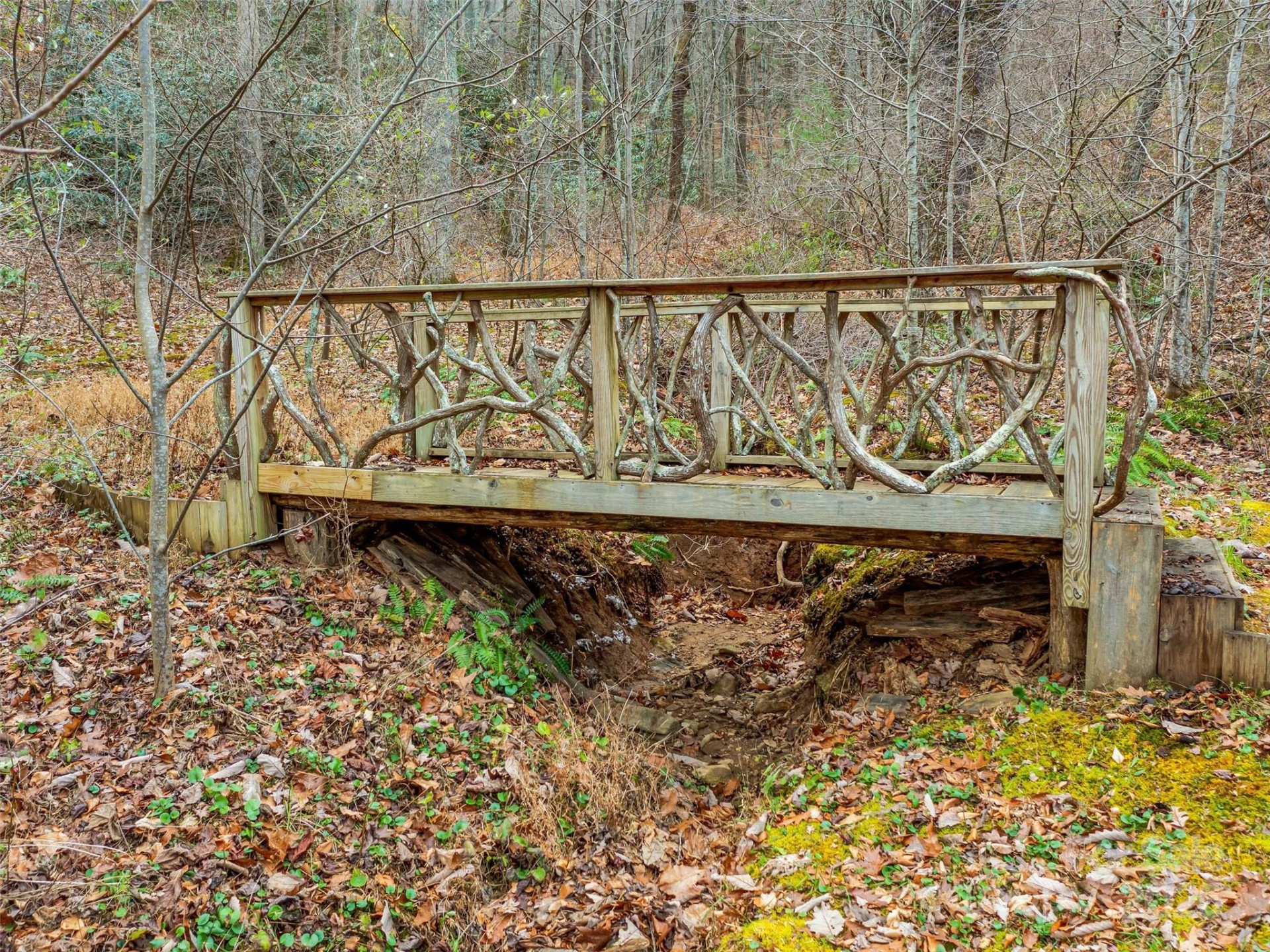 25 Autumn Shade Court #75 - Photo 20