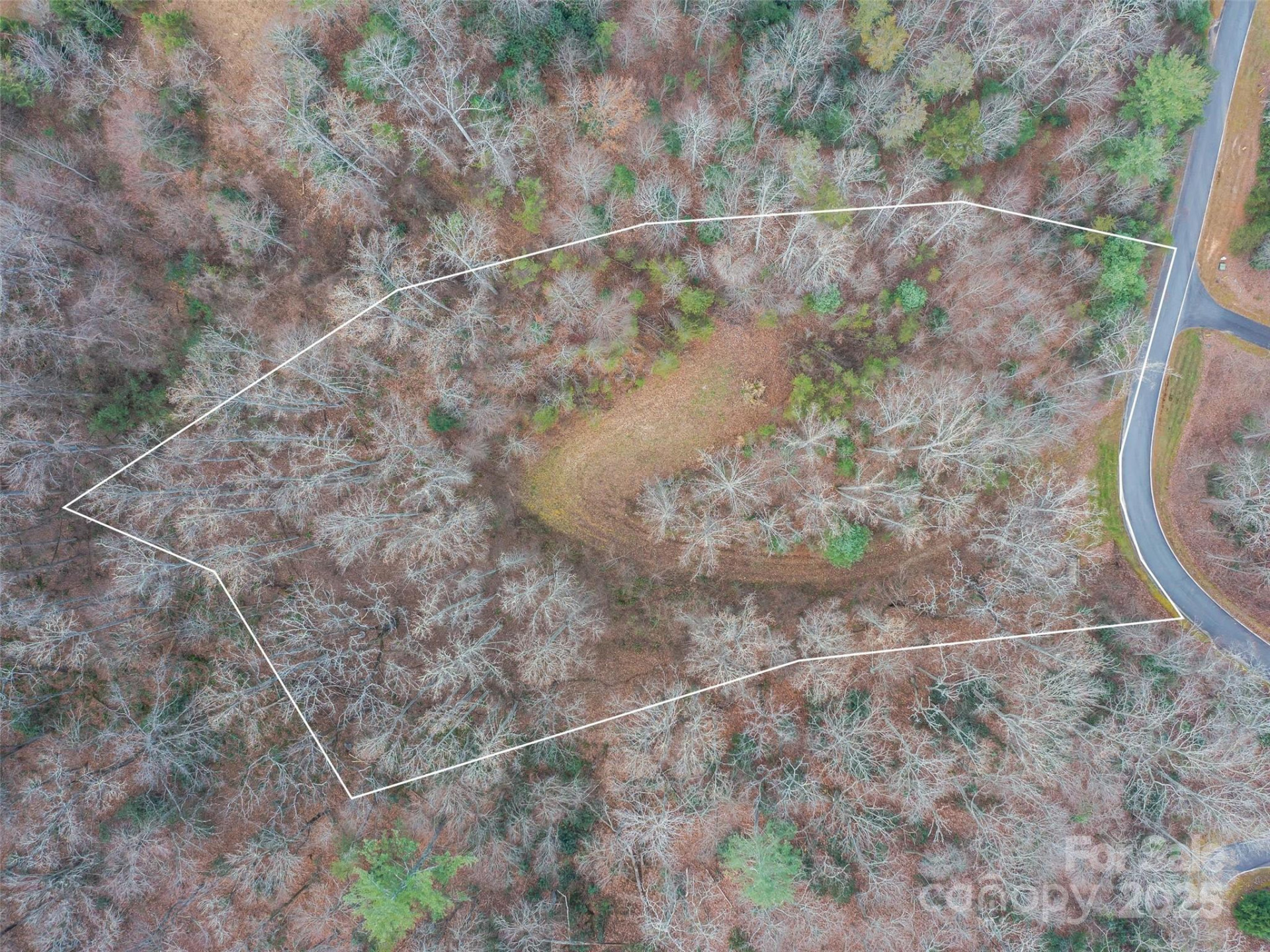 25 Autumn Shade Court #75 - Photo 3