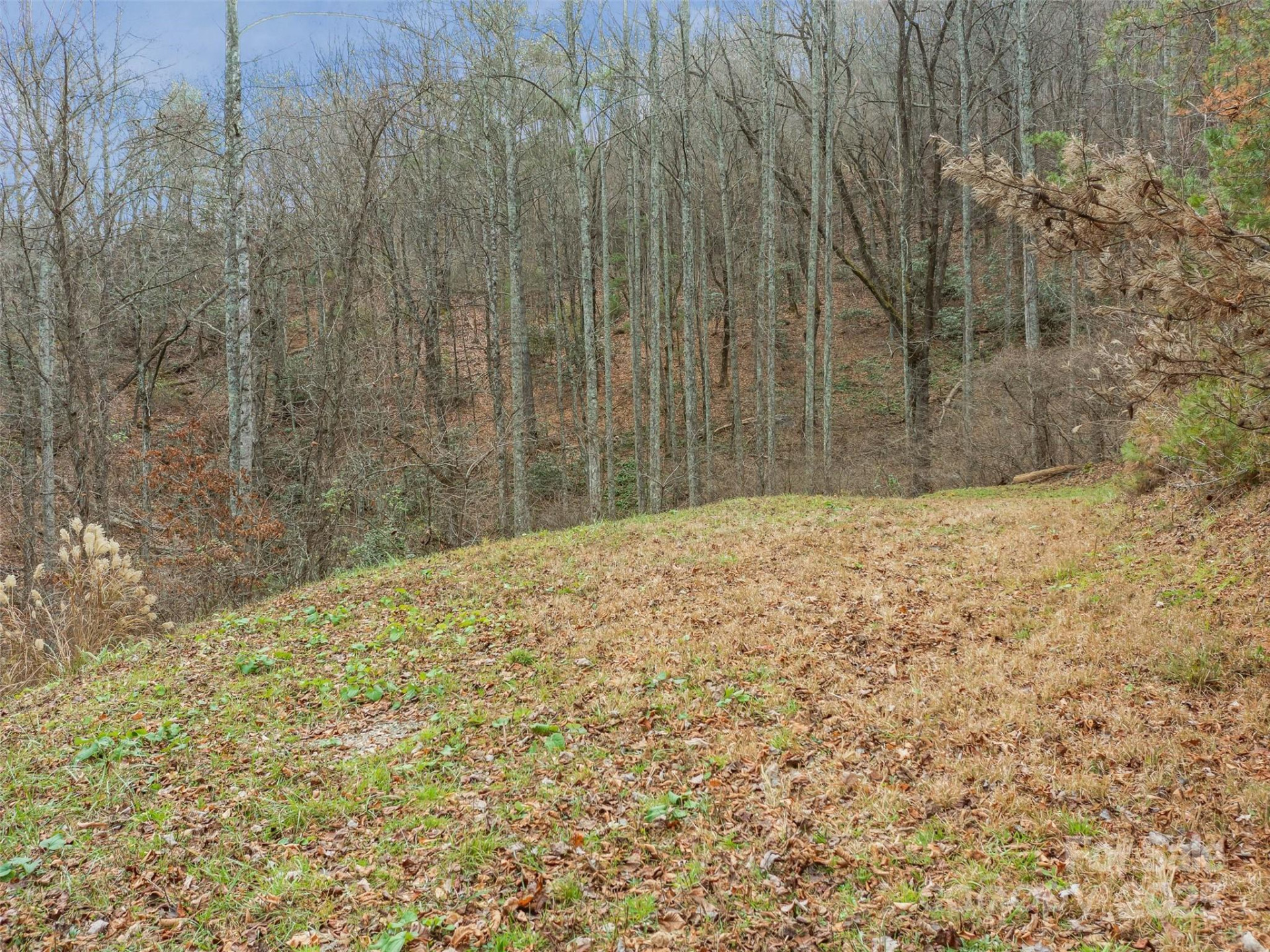 25 Autumn Shade Court #75 - Photo 22