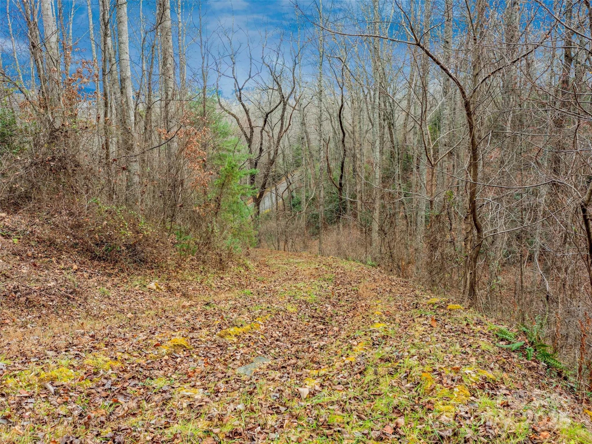 25 Autumn Shade Court #75 - Photo 24