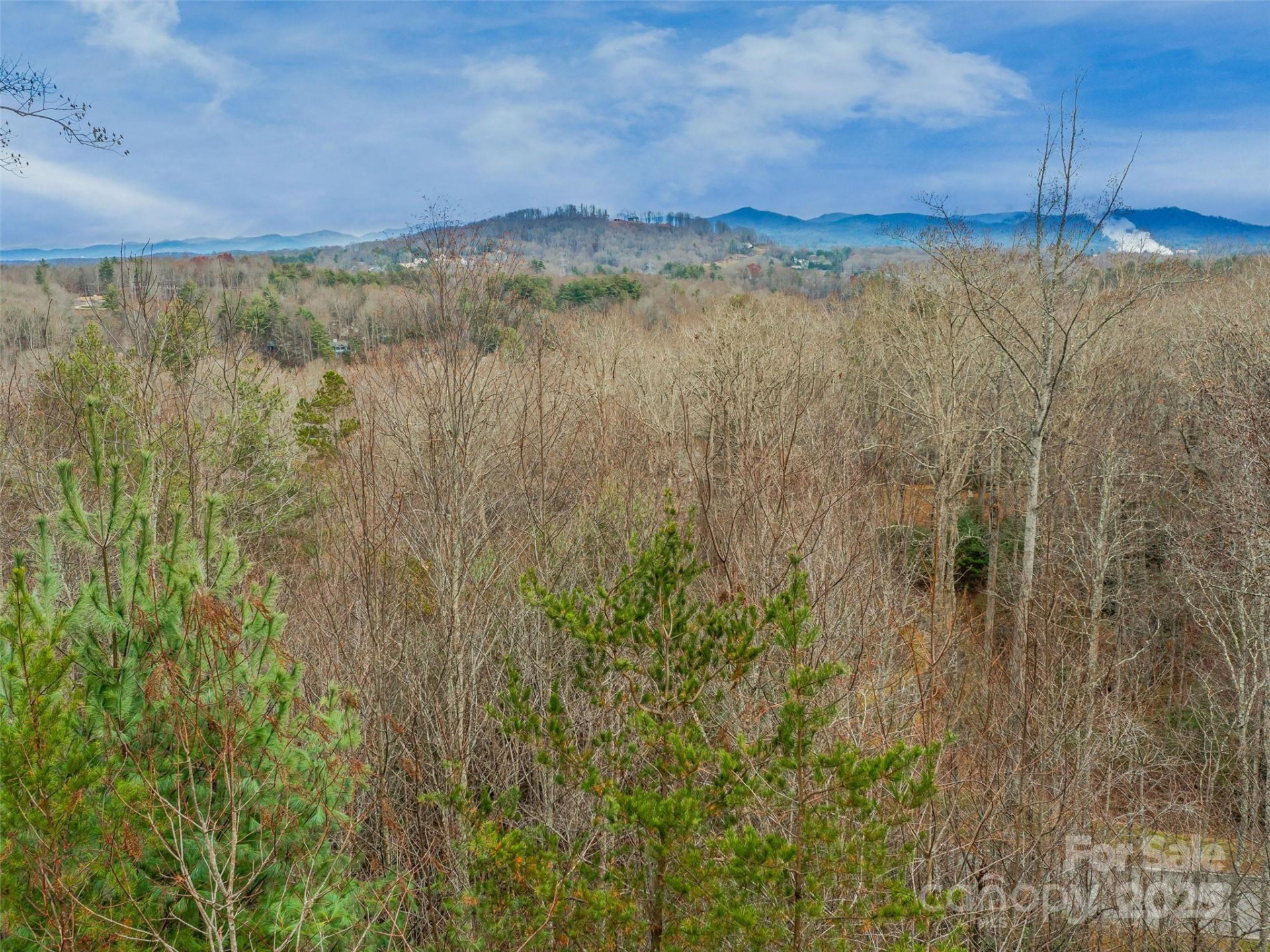 25 Autumn Shade Court #75 - Photo 4