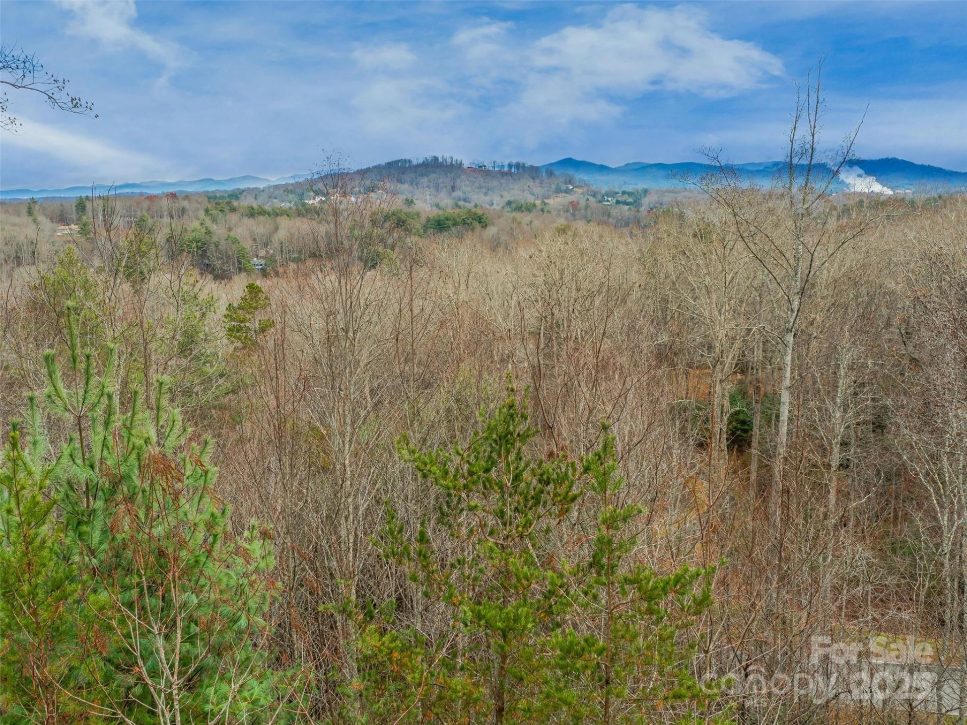 25 Autumn Shade Court #75 - Photo 4