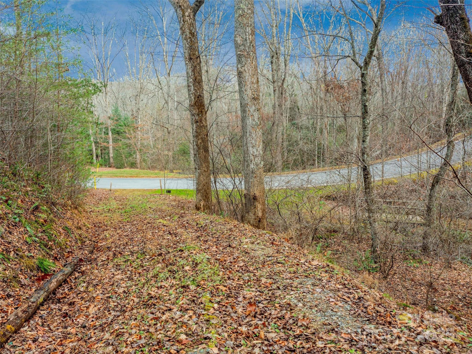 25 Autumn Shade Court #75 - Photo 9