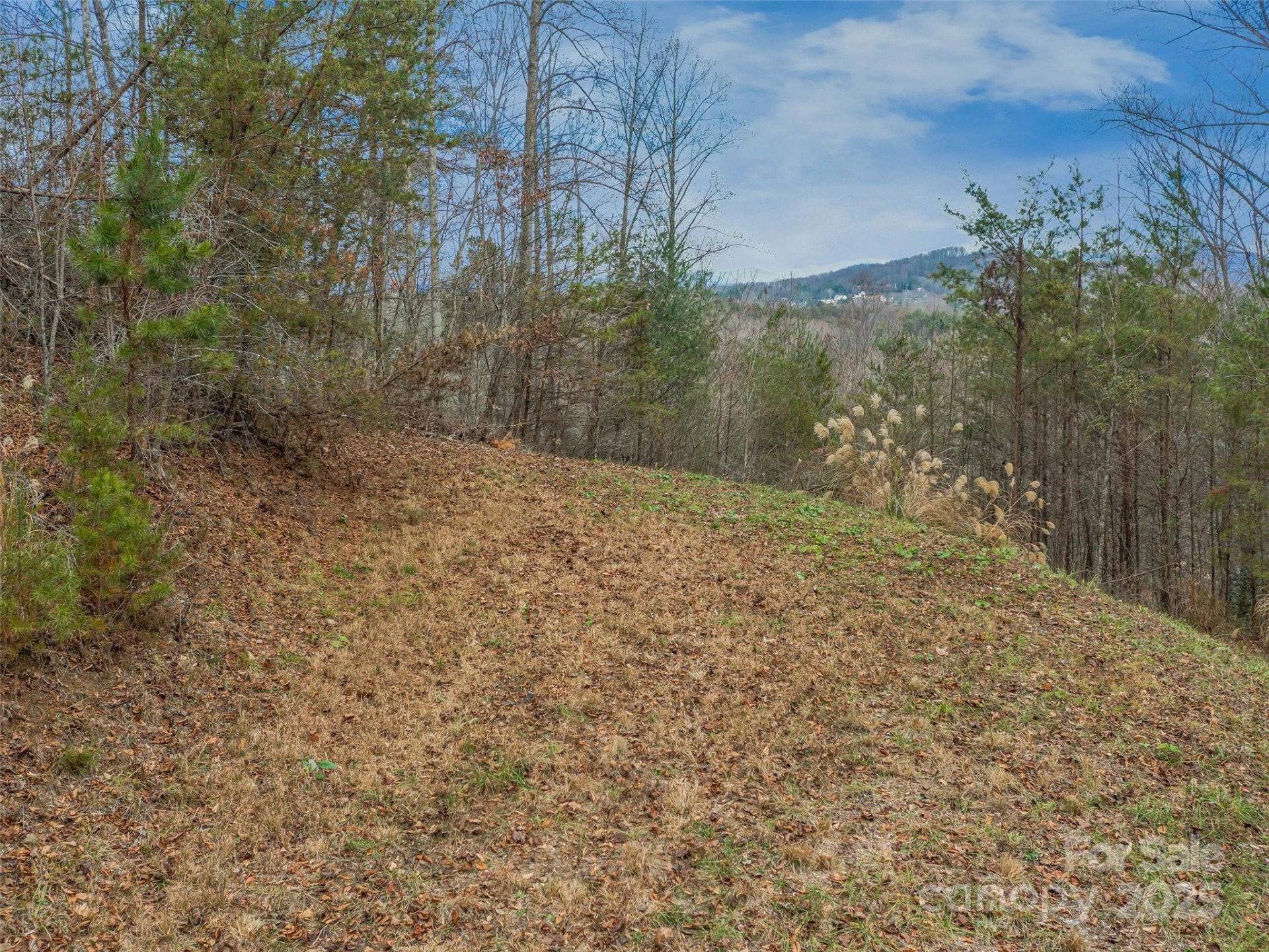 25 Autumn Shade Court #75 - Photo 10