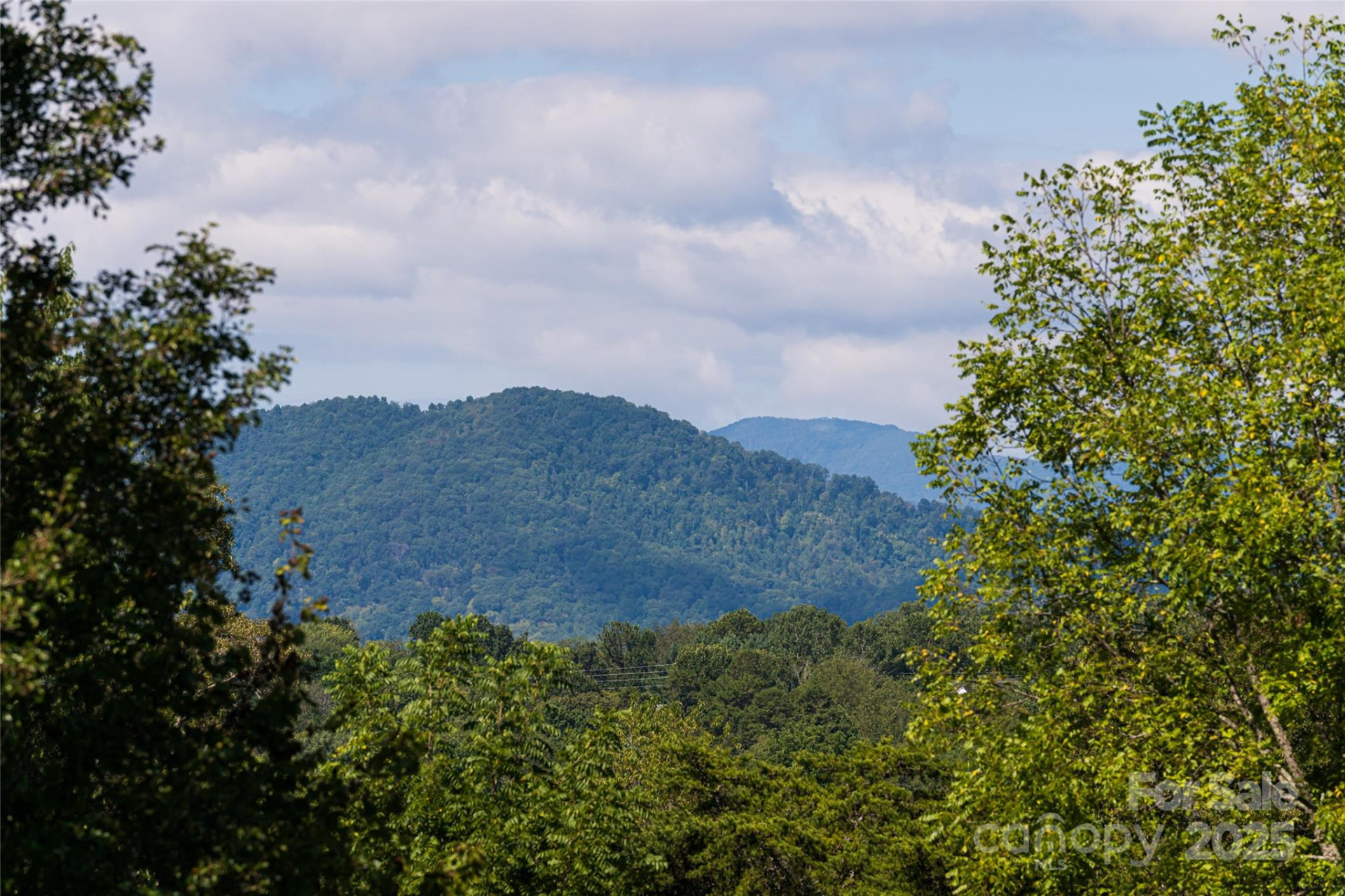 116 Dix Creek Chapel Road - Photo 32