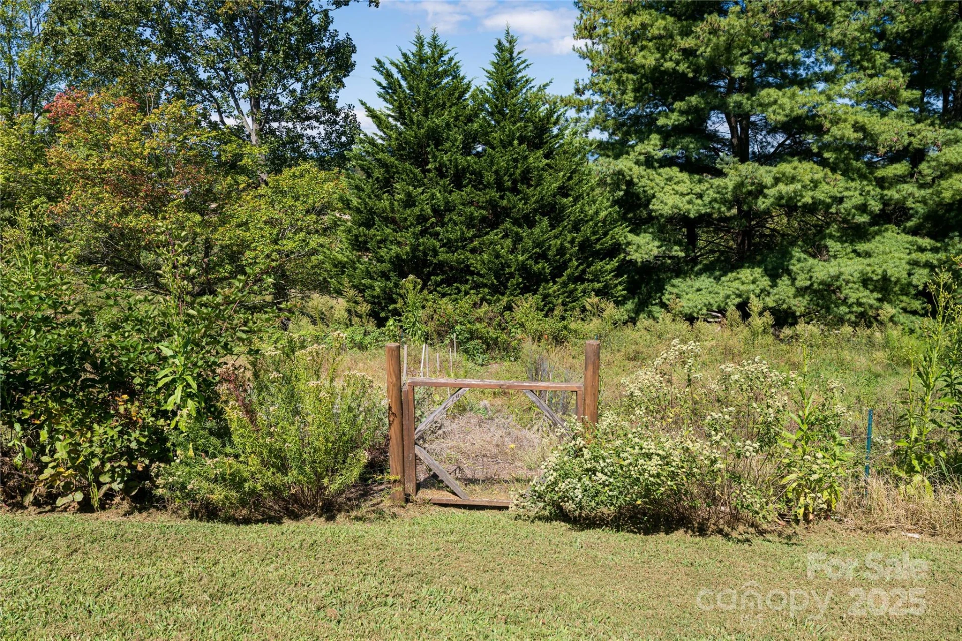 116 Dix Creek Chapel Road - Photo 37