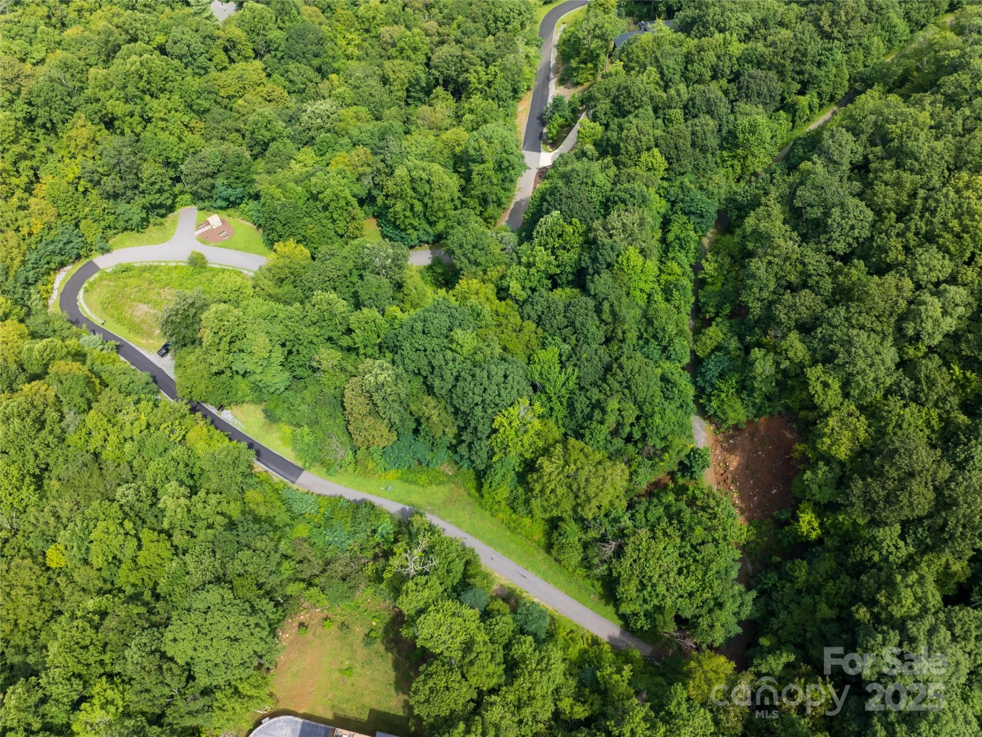 99999 Arborcrest Way #41 - Photo 4